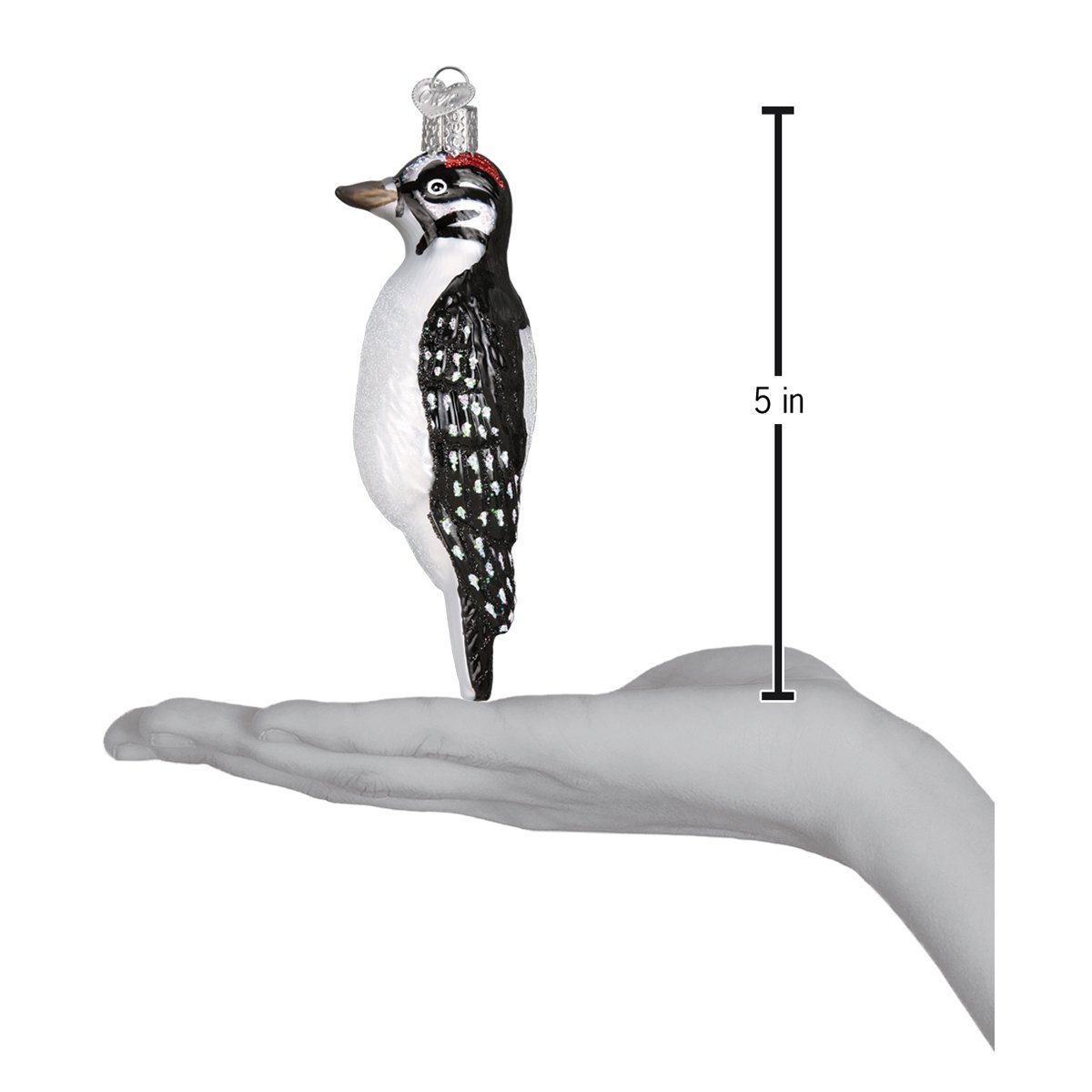 Hanging Hairy Woodpecker