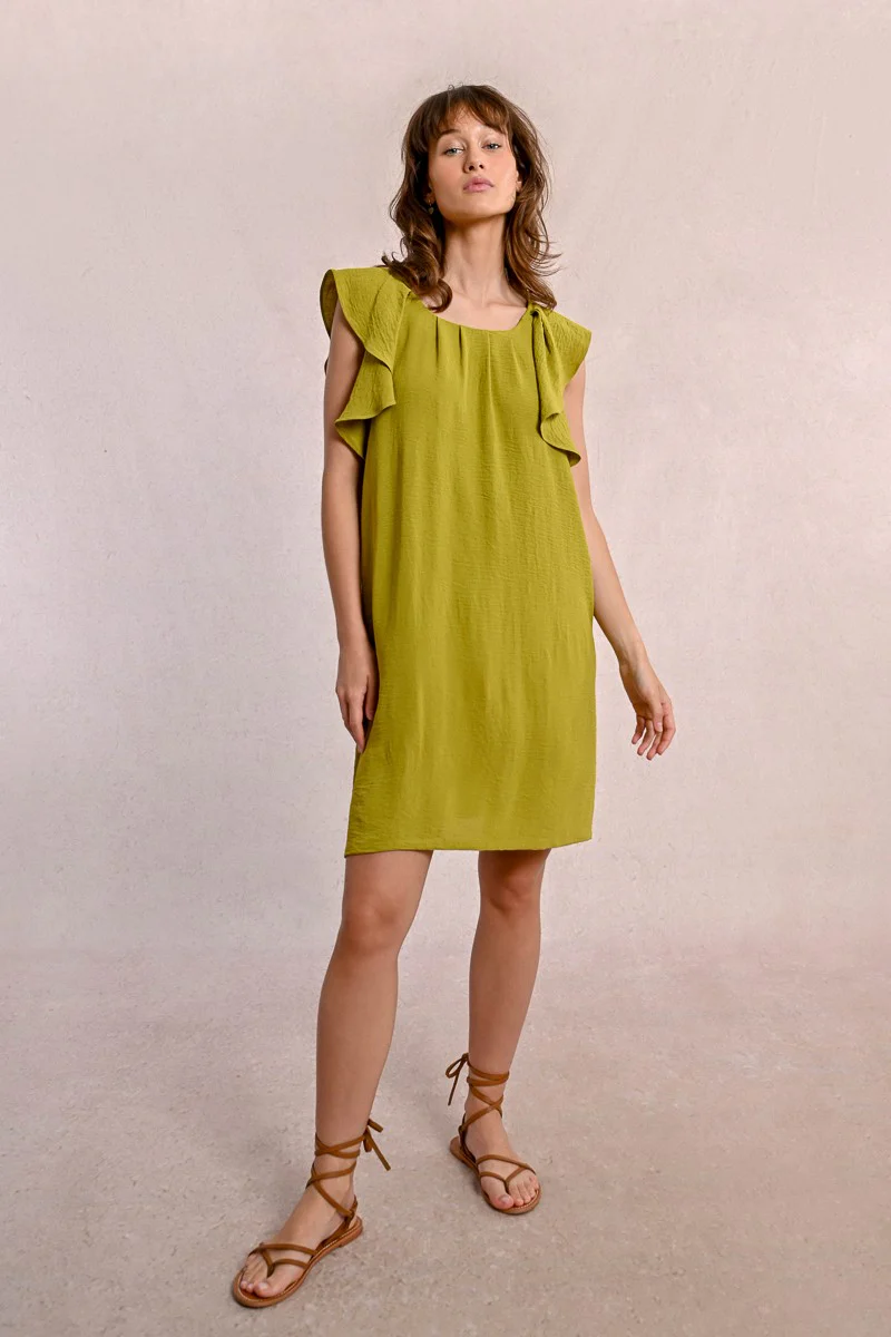 Short Dress With Fancy Sleeves