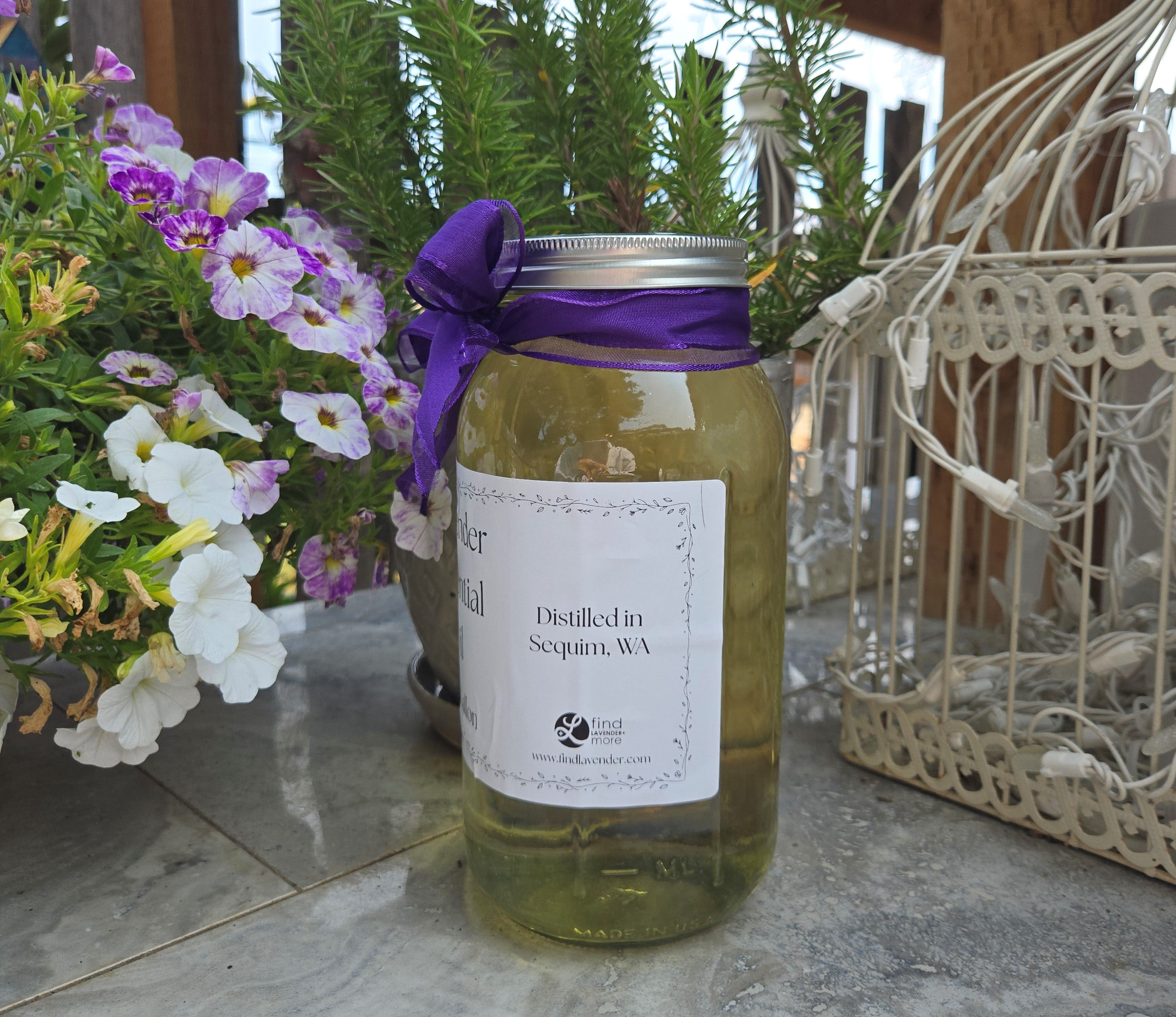 Lavender Essential Oil – 1/2 Gallon, Locally Sourced in WA