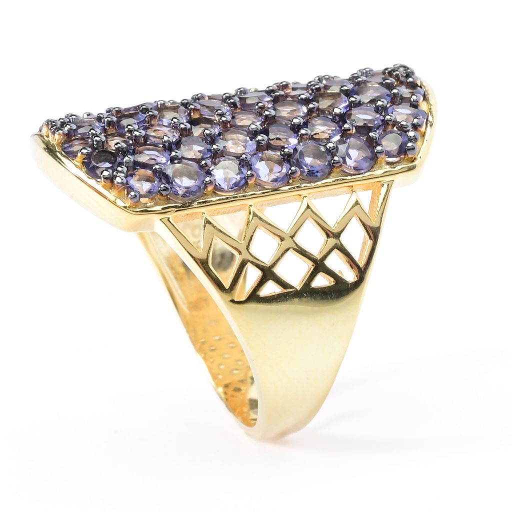 18K Gold Plated Choice of Exotic Gemstone Pave ID "Dog Tag" Ring by Steals