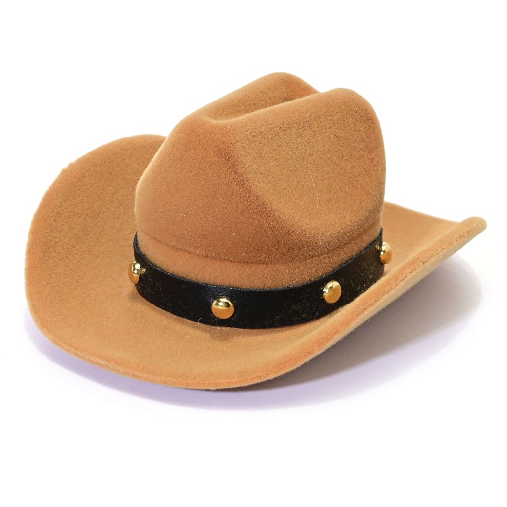Southwest Elements Cowboy Hat Ring Box by Steals