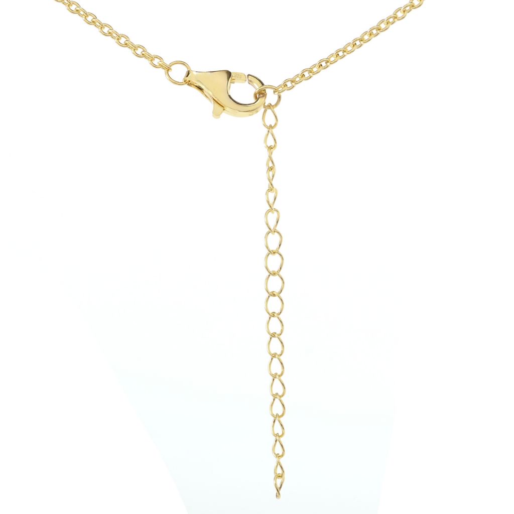 Passport to Egypt 18K Gold Plated Polished Flower of Life Pendant w/ Chain by Steals