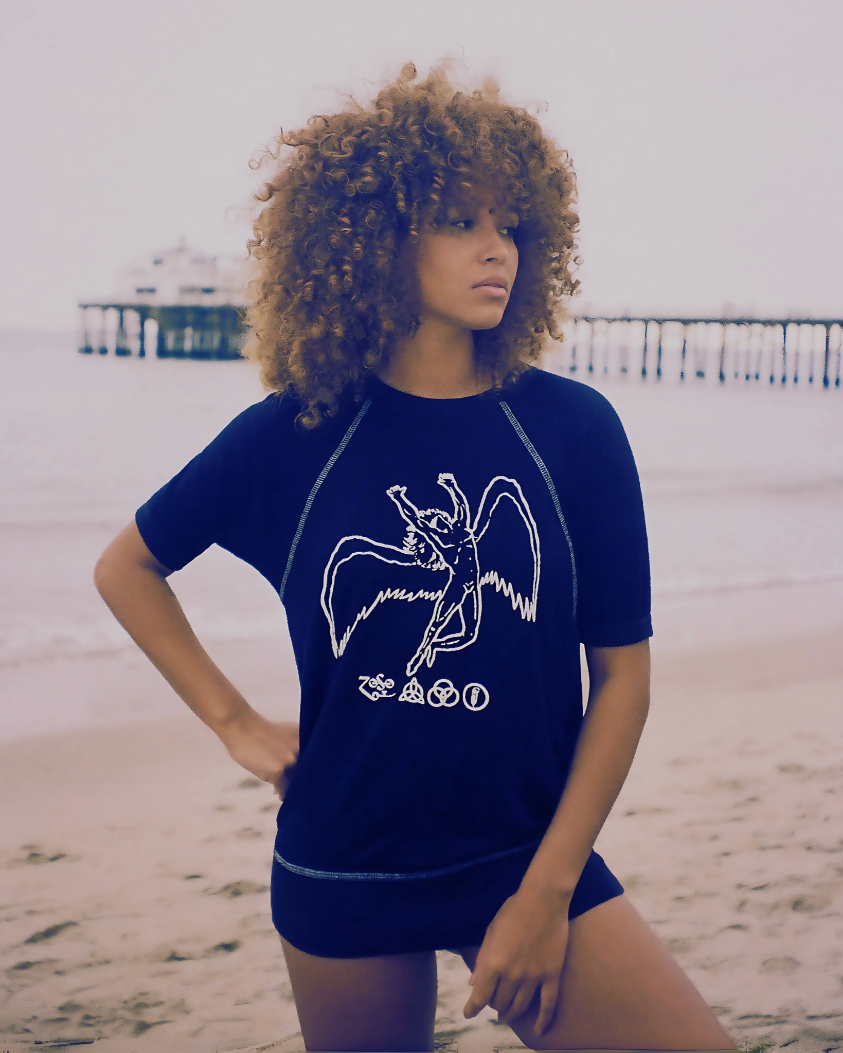 Led Zeppelin Short Sleeve Icarus Raglan by People of Leisure