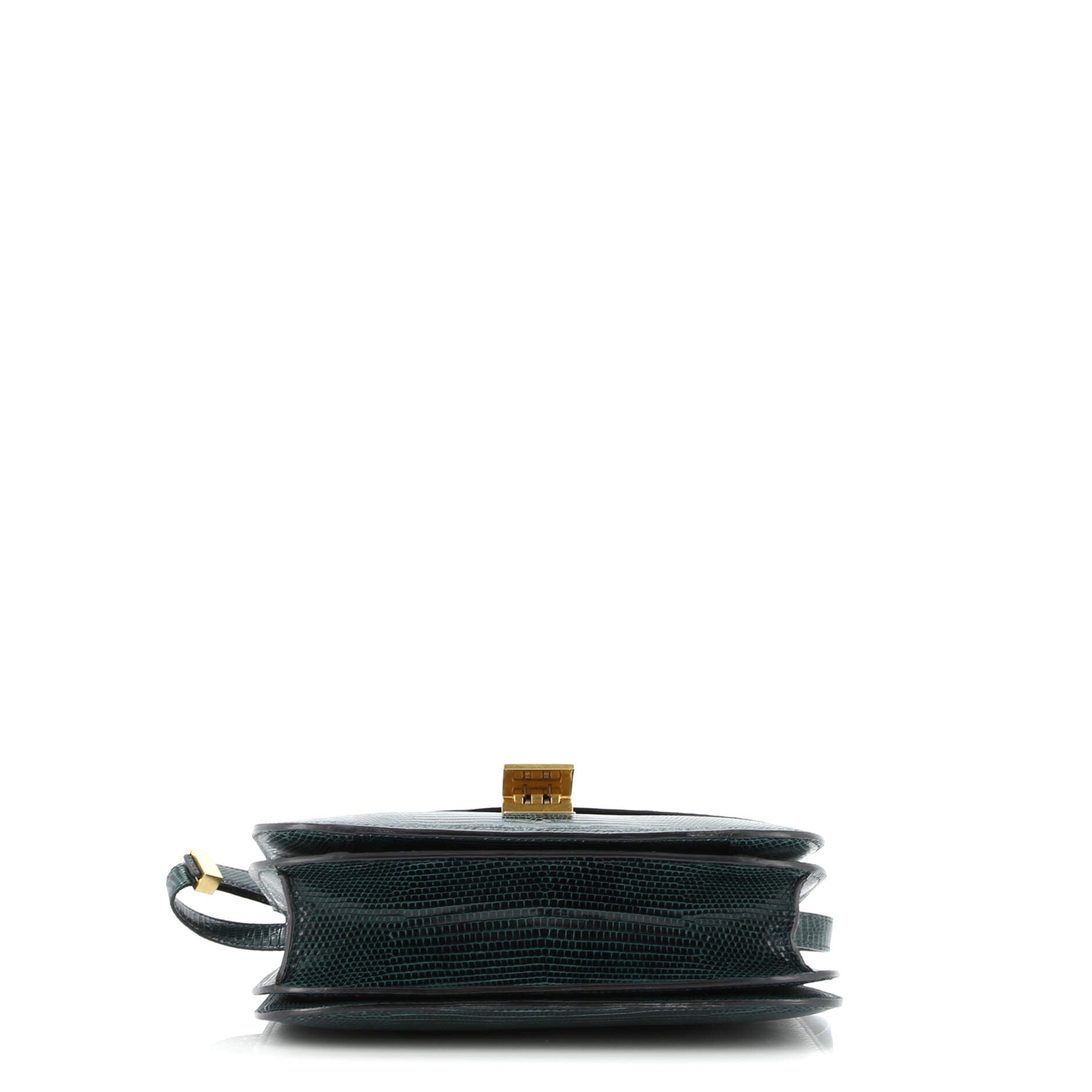 Celine Classic Box Bag Lizard Medium
