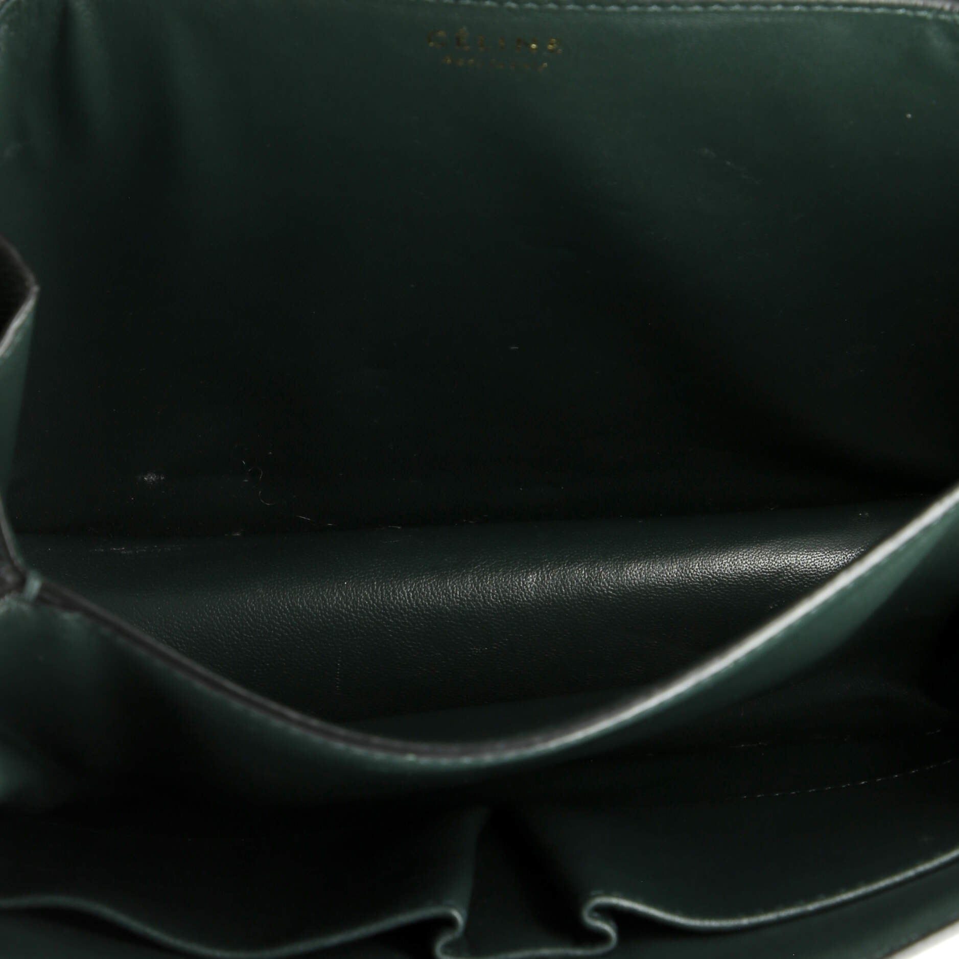 Celine Classic Box Bag Lizard Medium