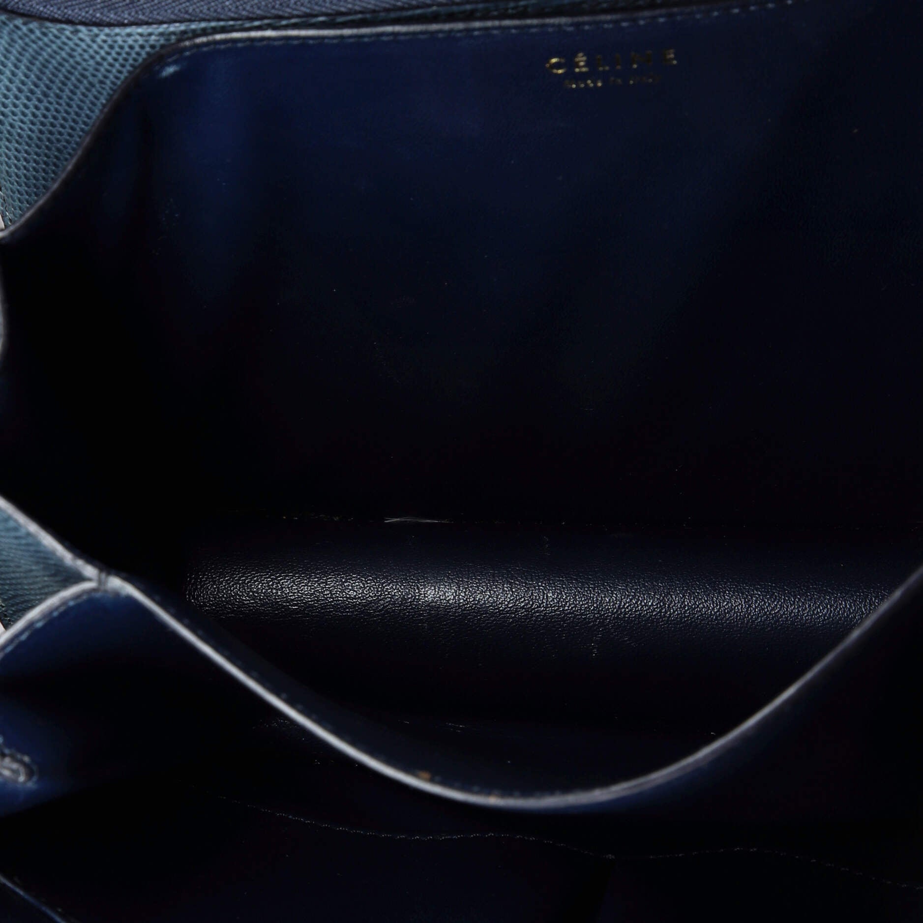 Celine Classic Box Bag Lizard Medium