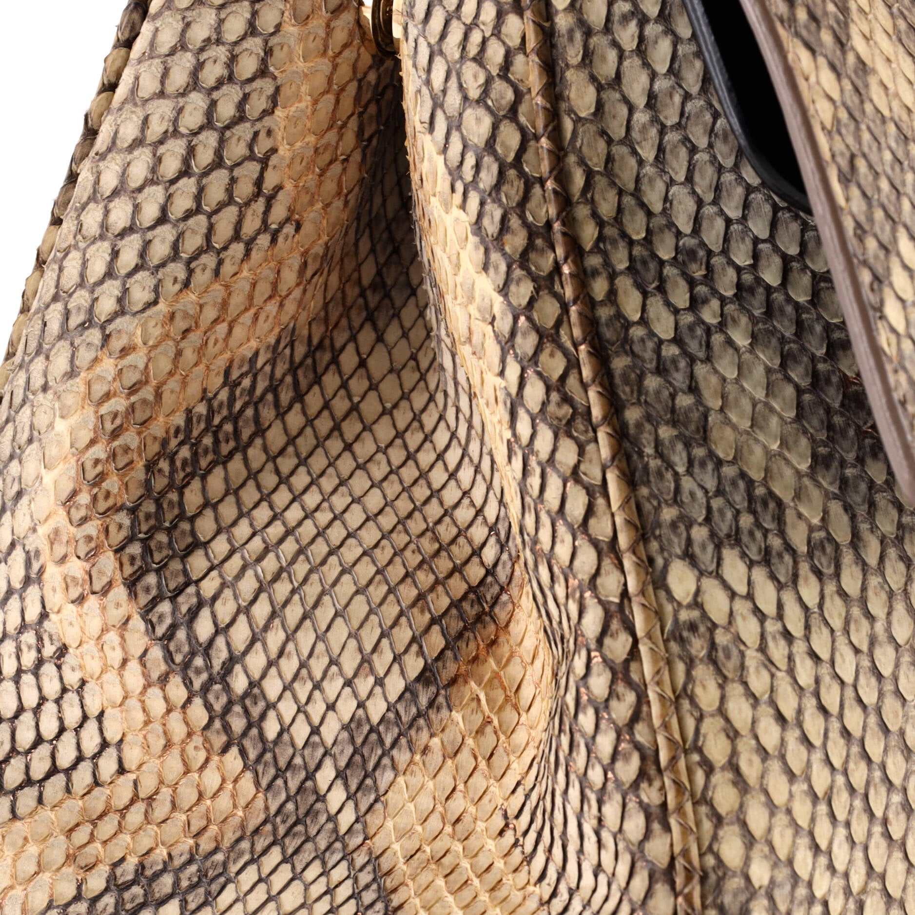 Christian Dior Be Dior Bag Python Medium