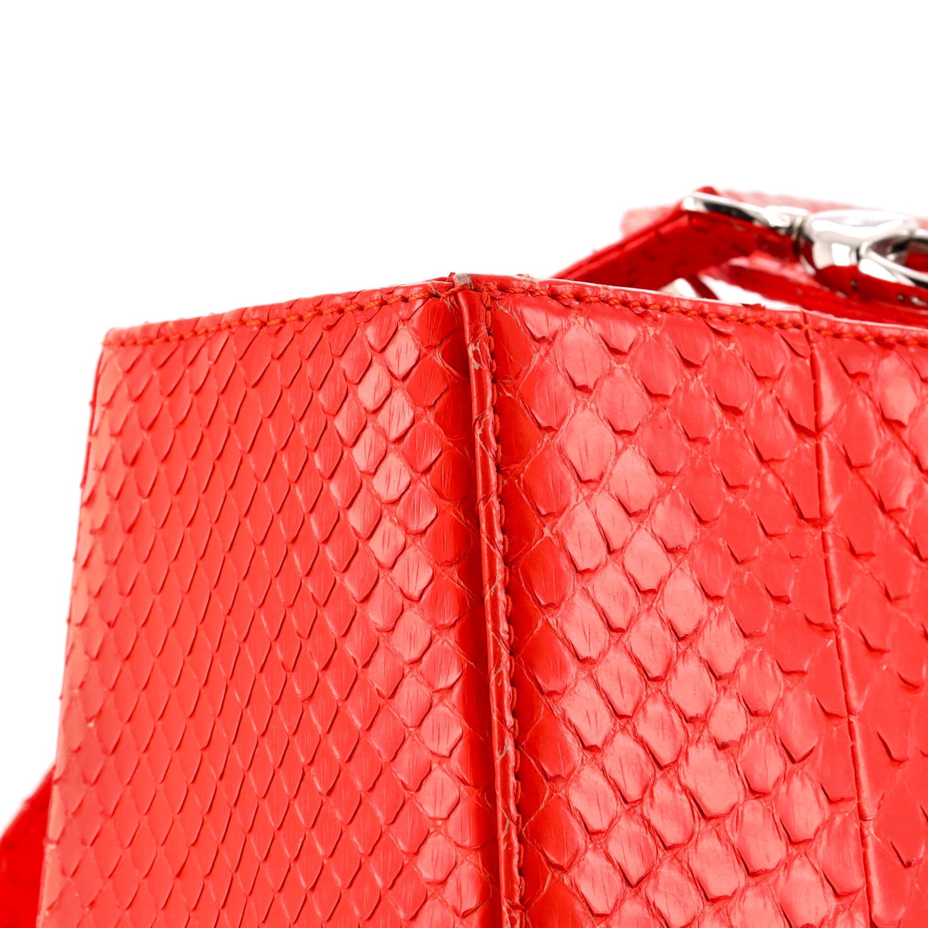 Christian Dior Lady Dior Bag Python Large