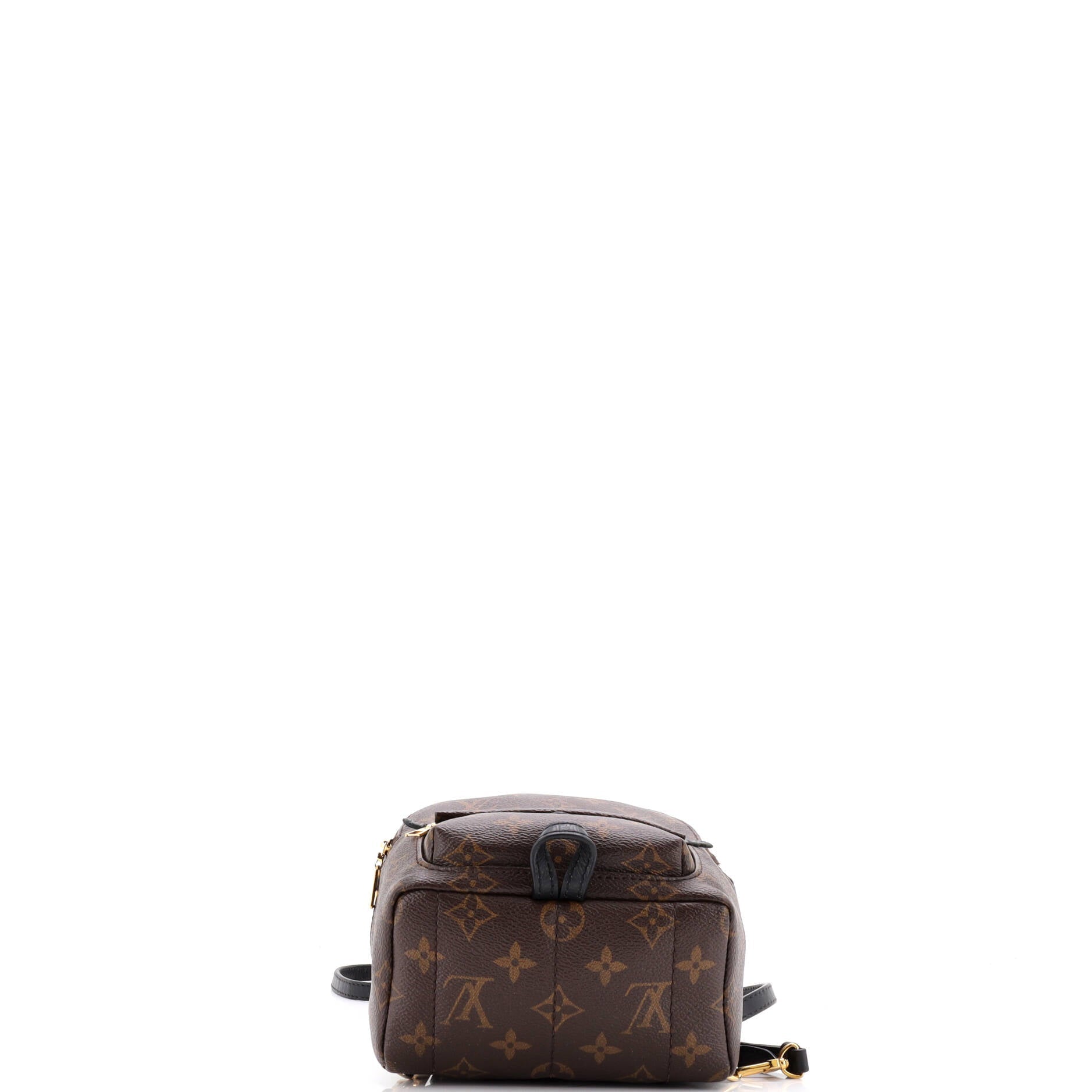 Louis Vuitton Palm Springs Backpack Monogram Canvas Mini