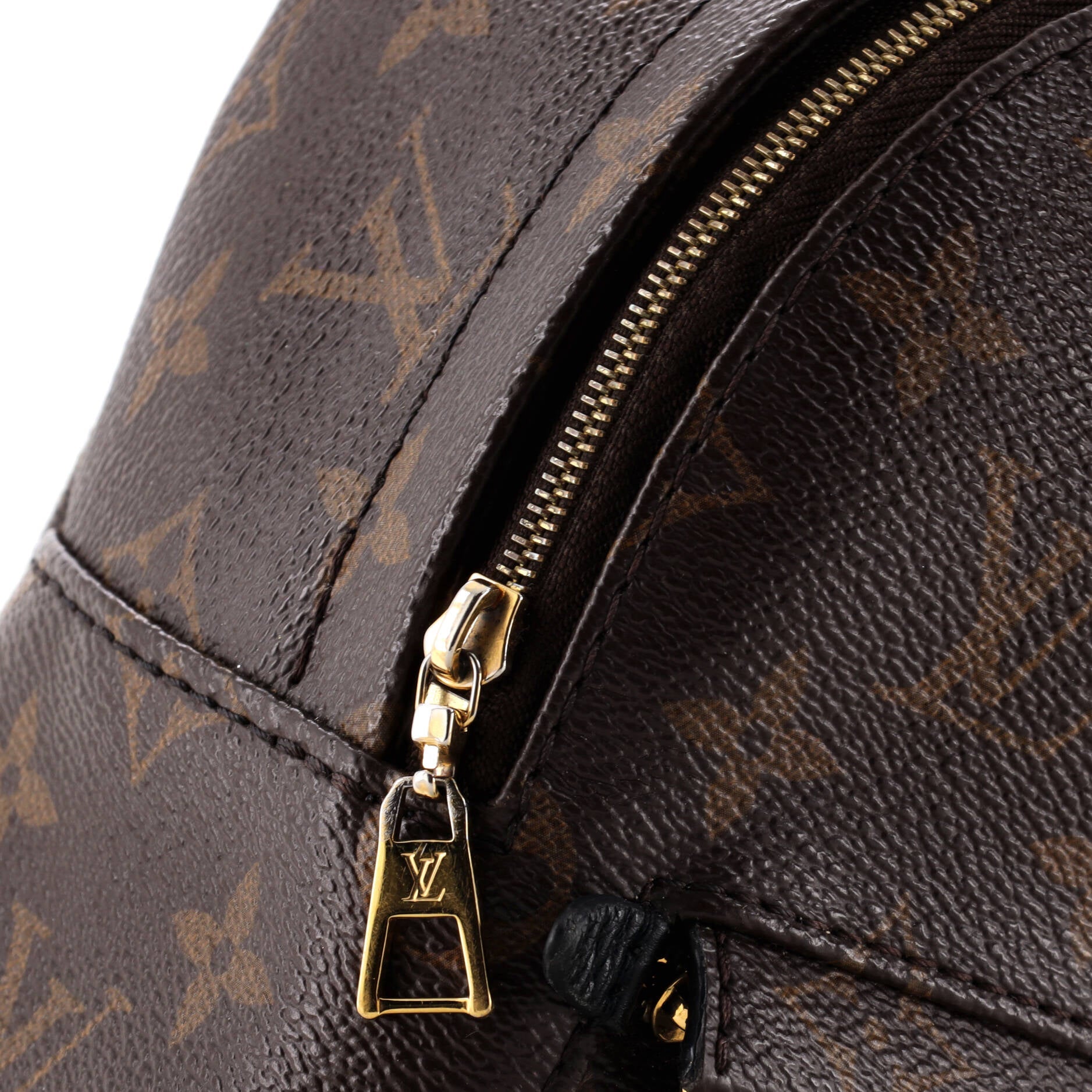Louis Vuitton Palm Springs Backpack Monogram Canvas Mini