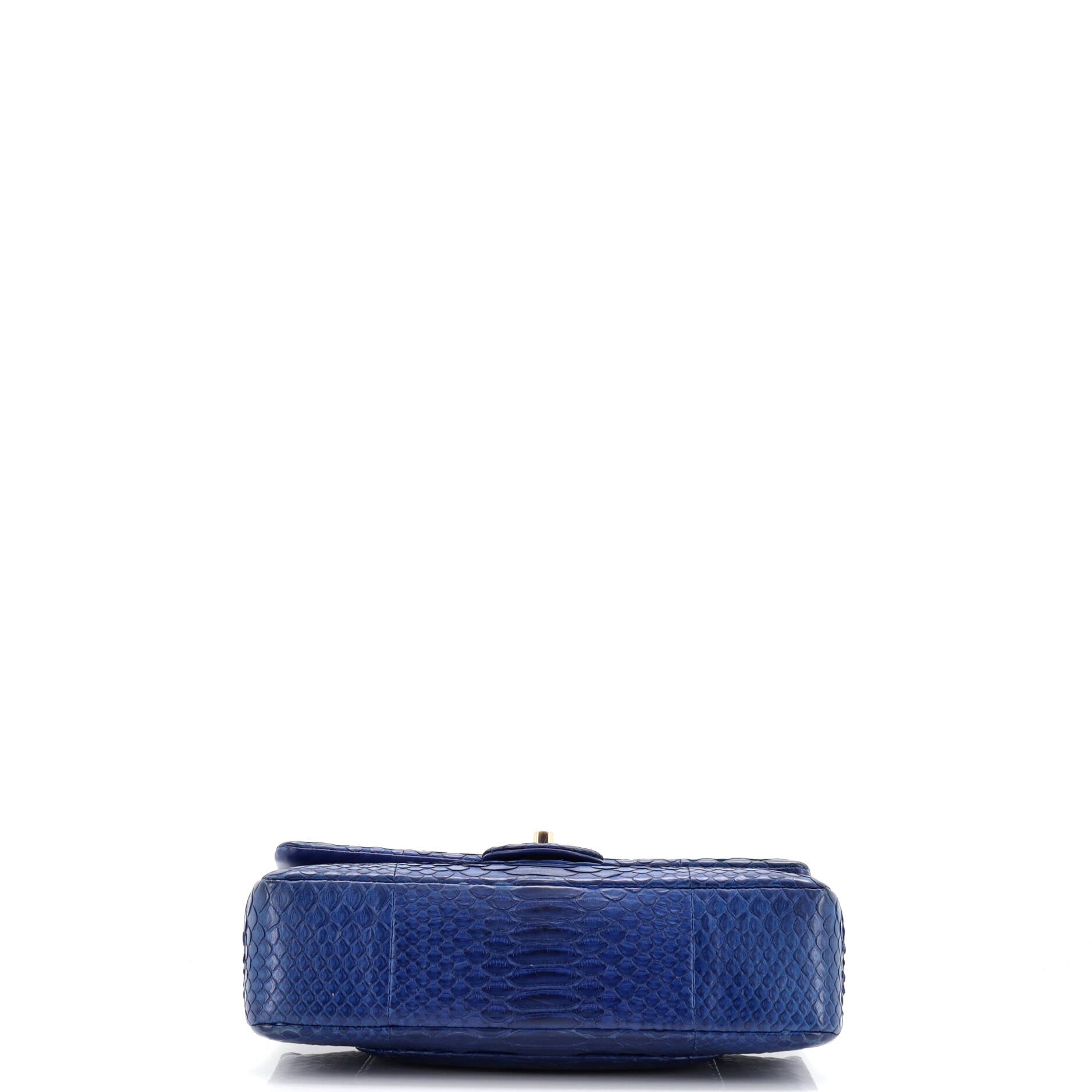 Chanel Classic Double Flap Bag Python Medium