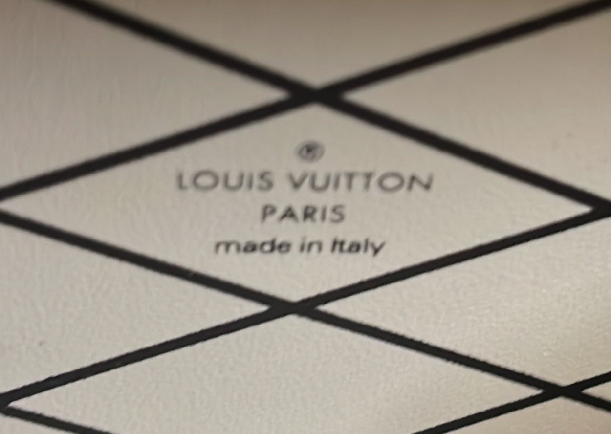 Louis Vuitton Pic Trunk Minaudiere Monogram Canvas with Leather