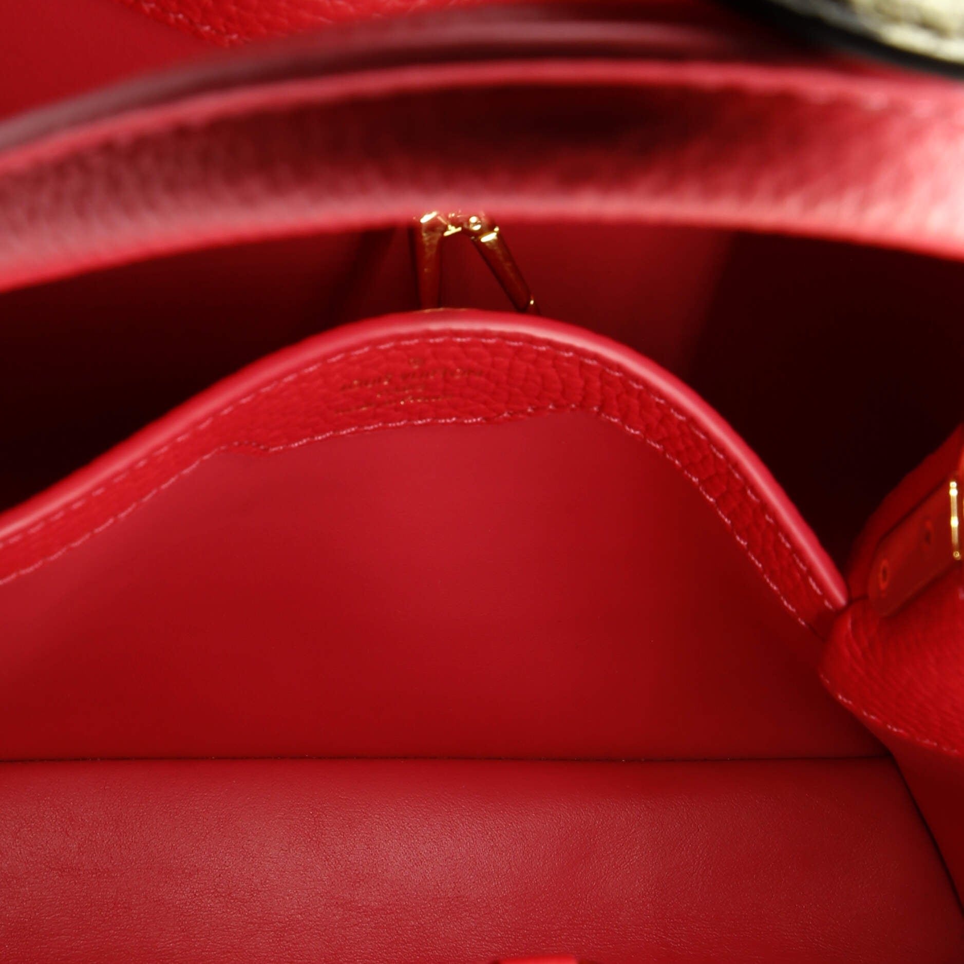 Louis Vuitton Capucines Bag Leather with Snakeskin BB