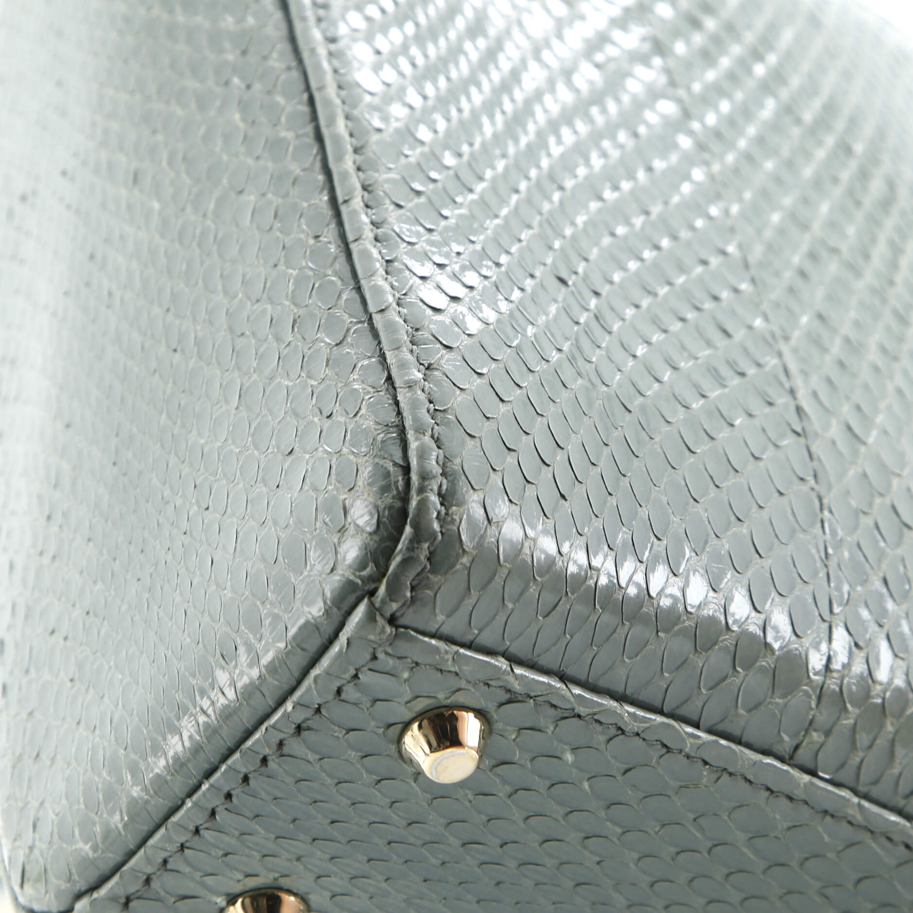 Christian Dior Lady Dior Chain Bag Python Mini