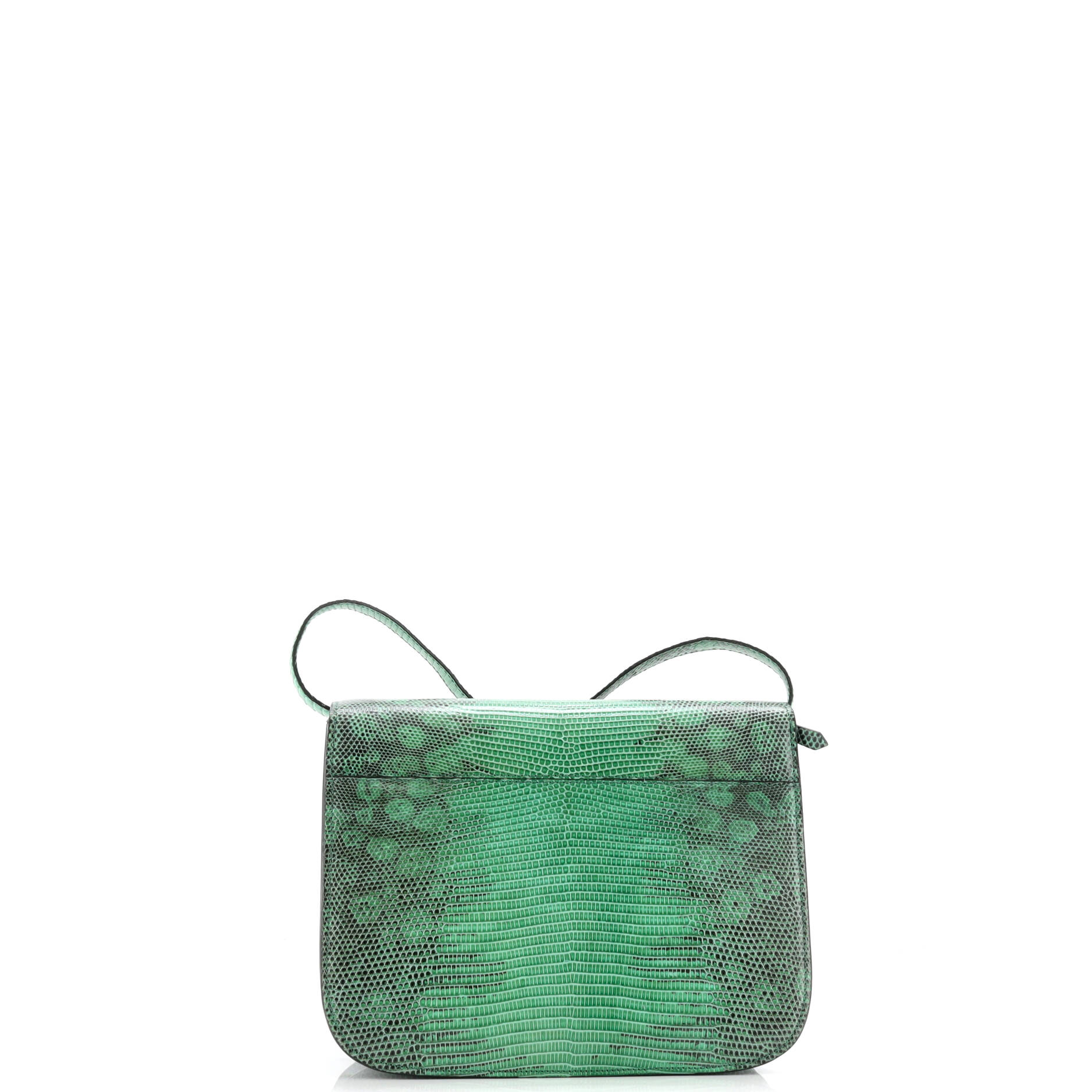 Celine Classic Box Bag Lizard Medium