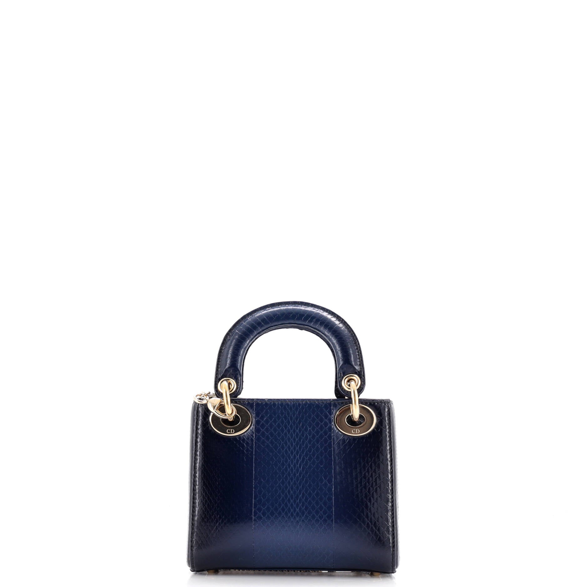 Christian Dior Lady Dior Chain Bag Python Mini