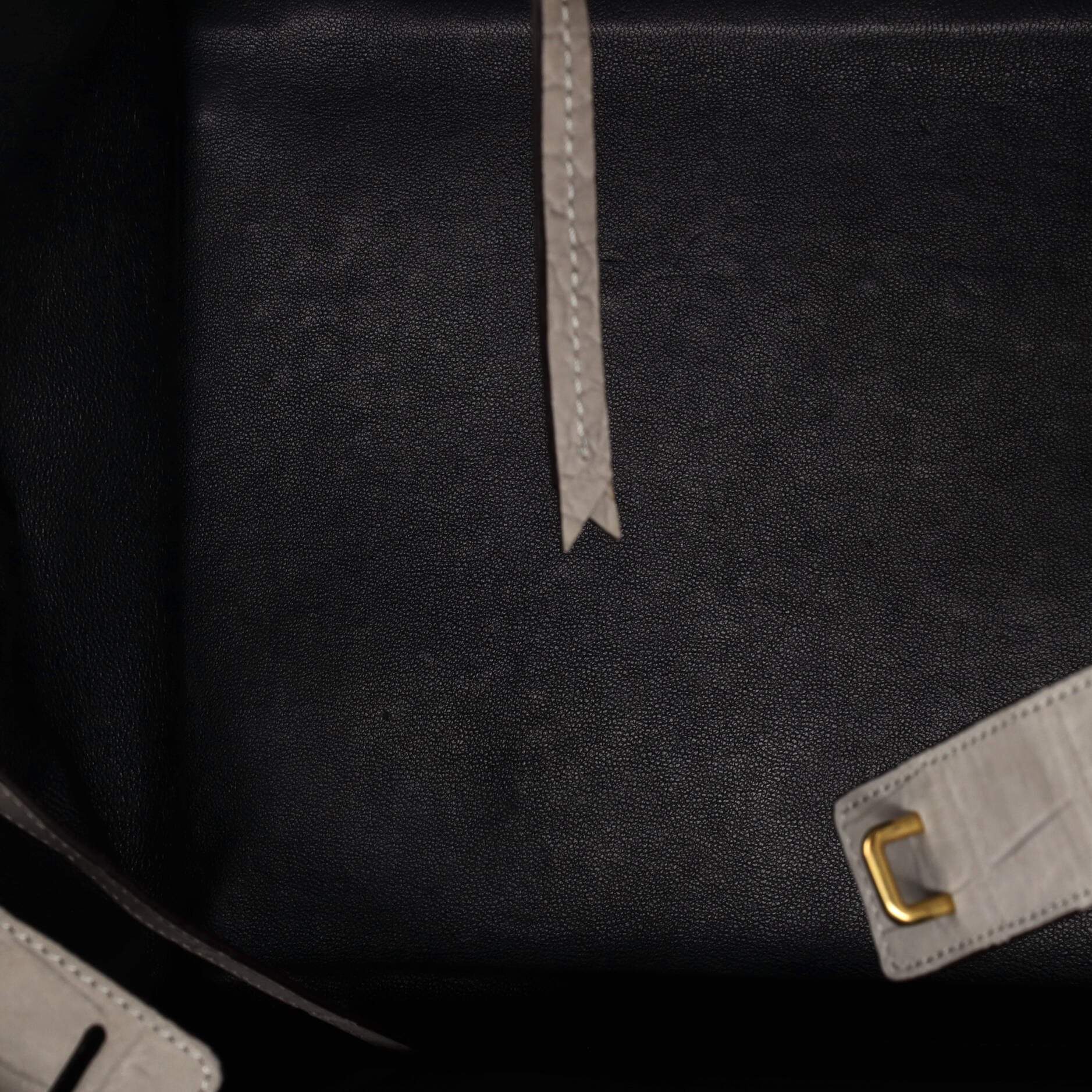 Celine Phantom Bag Crocodile Embossed Nubuck Medium