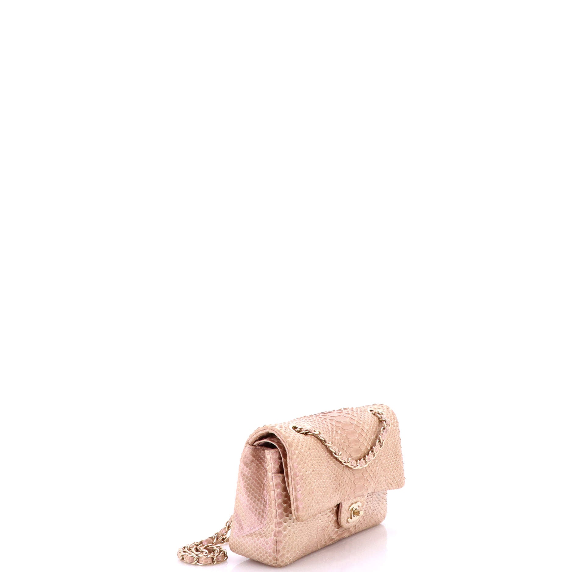 Chanel Classic Double Flap Bag Python Medium