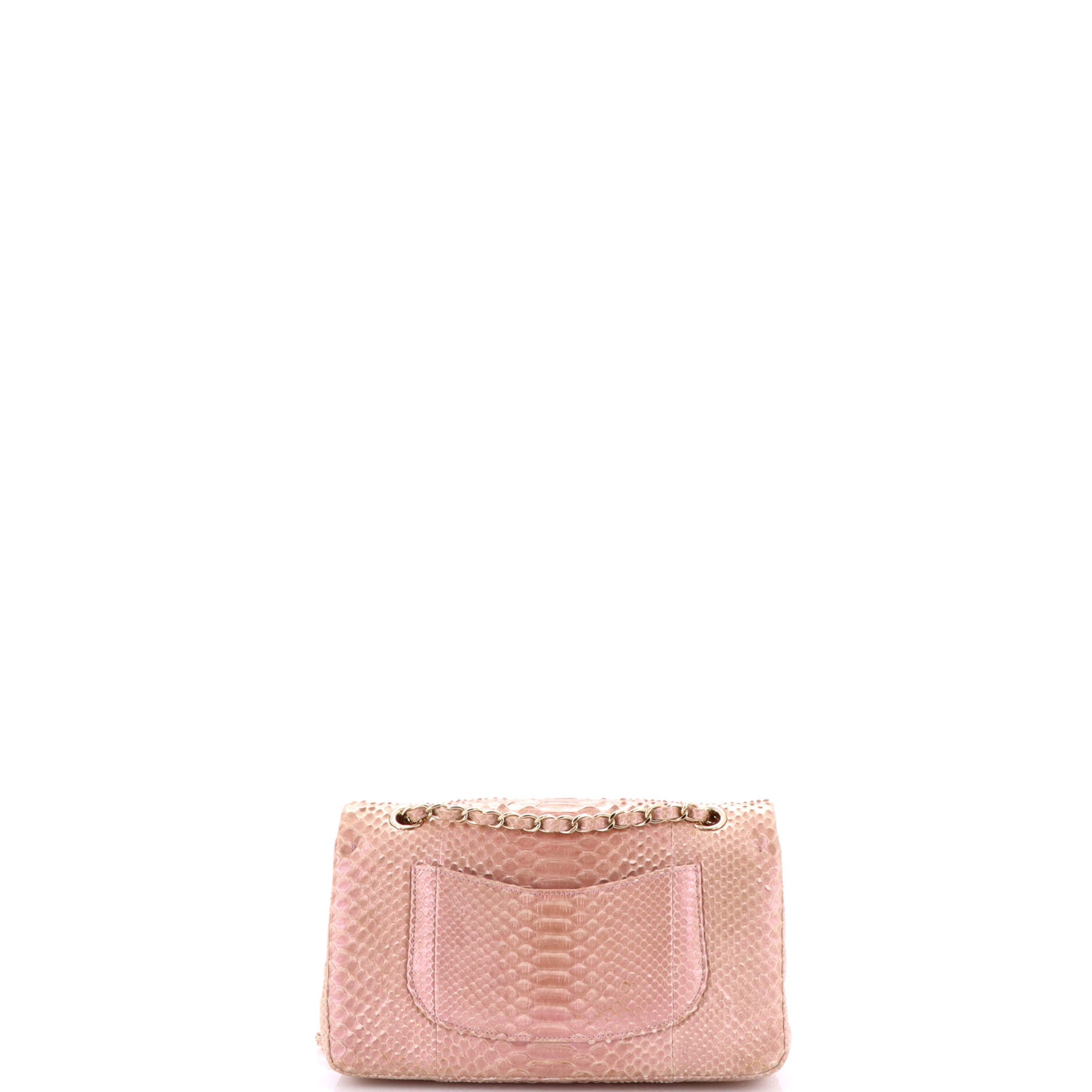Chanel Classic Double Flap Bag Python Medium