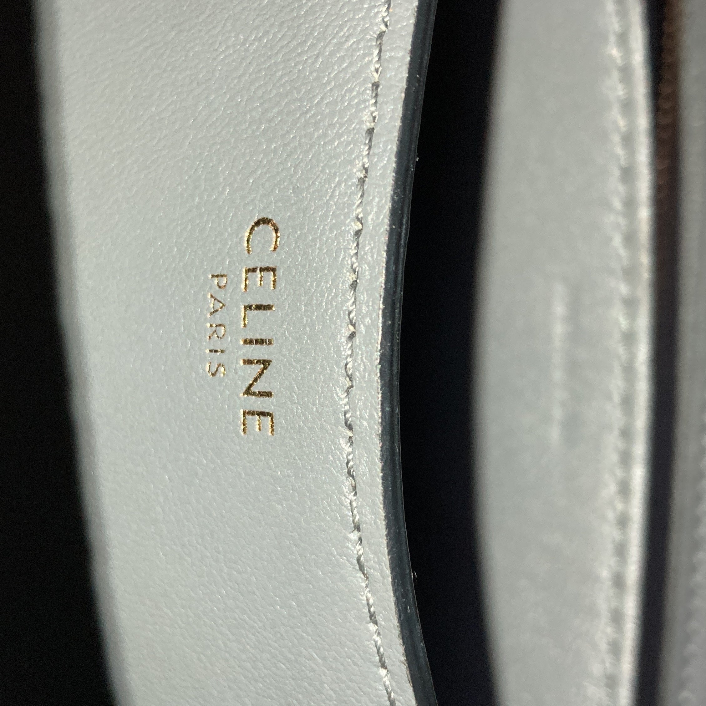 Celine Classic Box Bag Lizard Teen