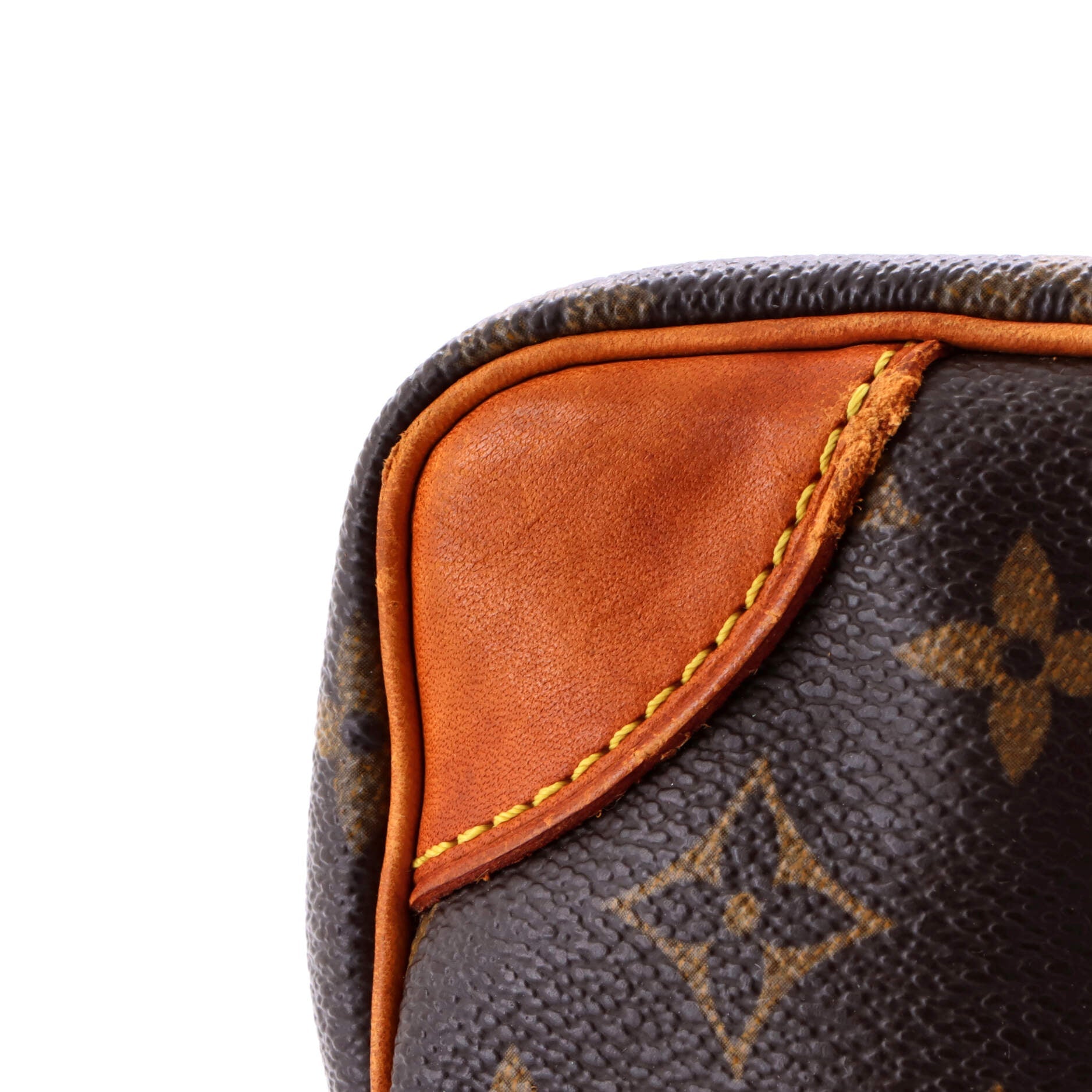 Louis Vuitton Amazone Bag Monogram Canvas Mini