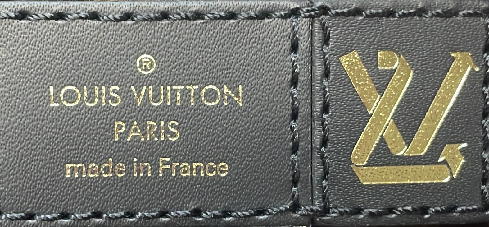 Louis Vuitton Maxi Multi Pochette Accessoires Monogram Quilted Econyl Nylon