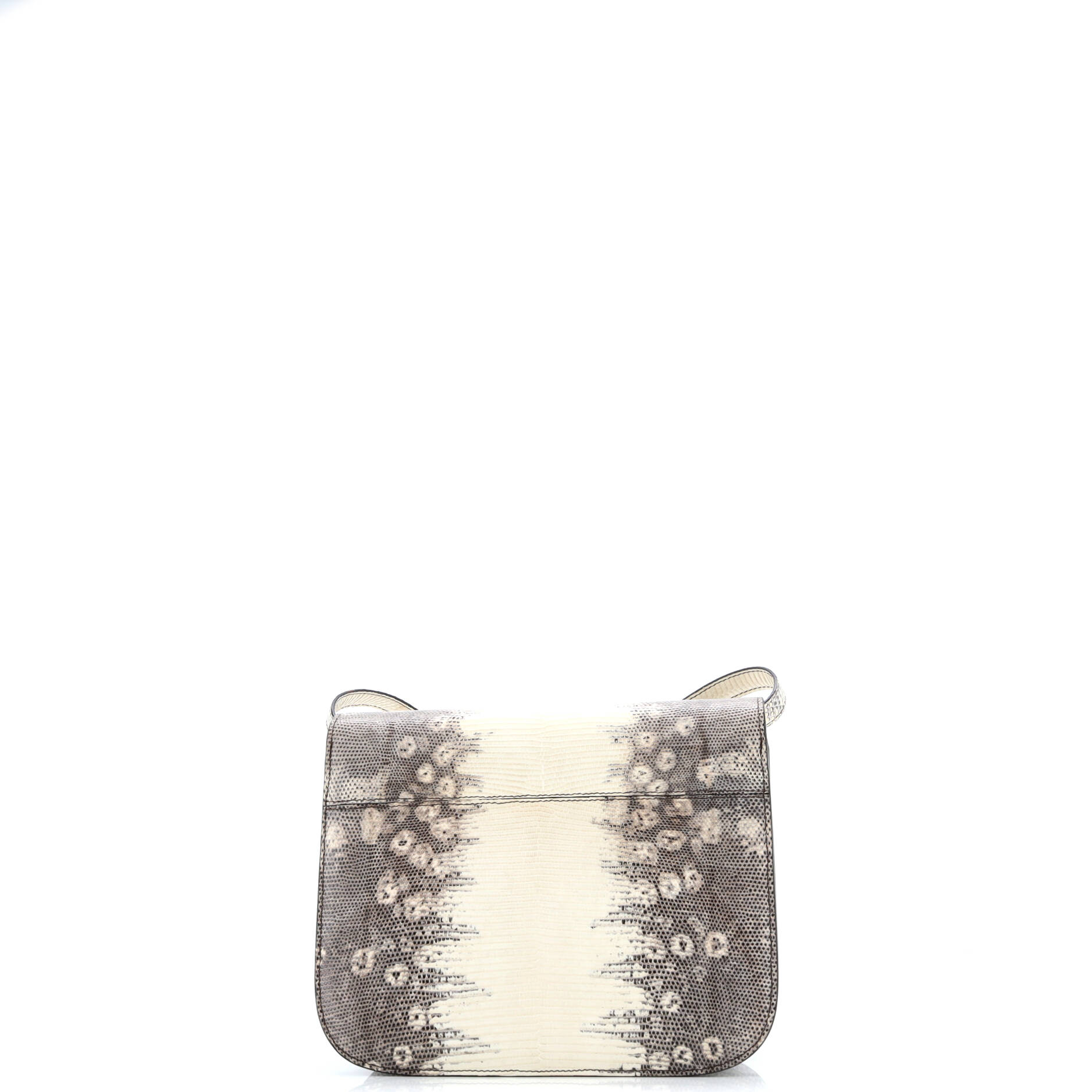 Celine Classic Box Bag Lizard Medium