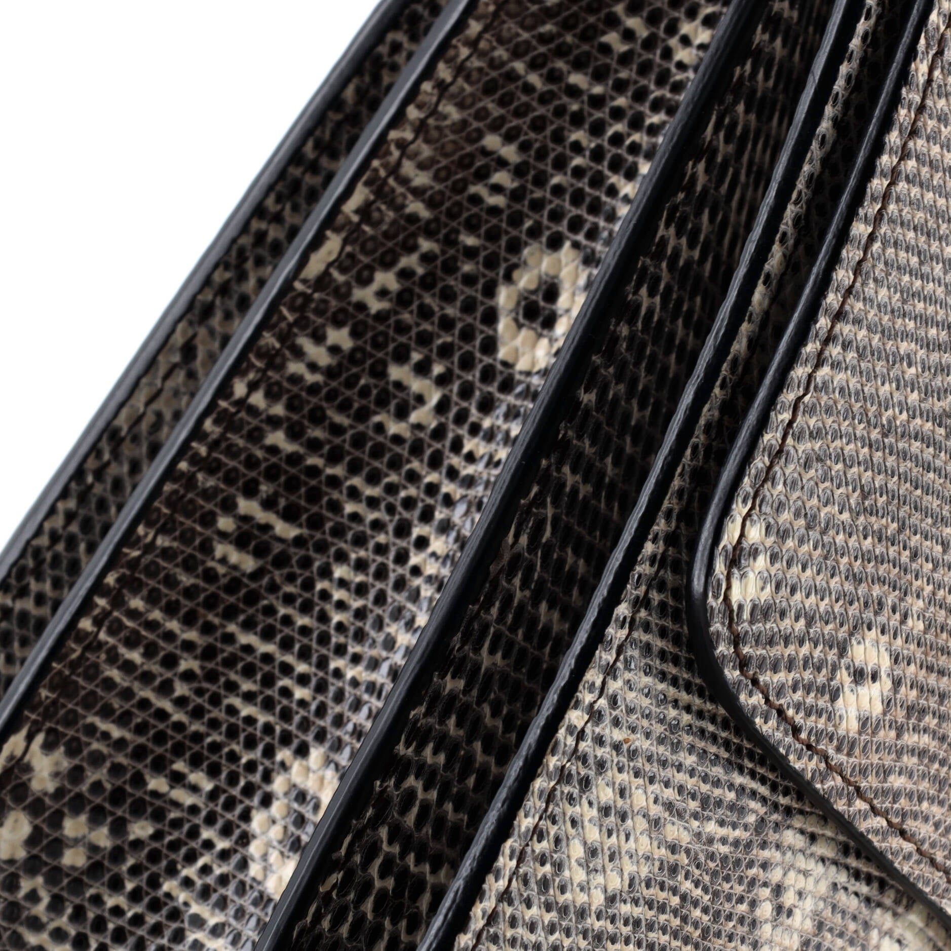 Celine Classic Box Bag Lizard Medium