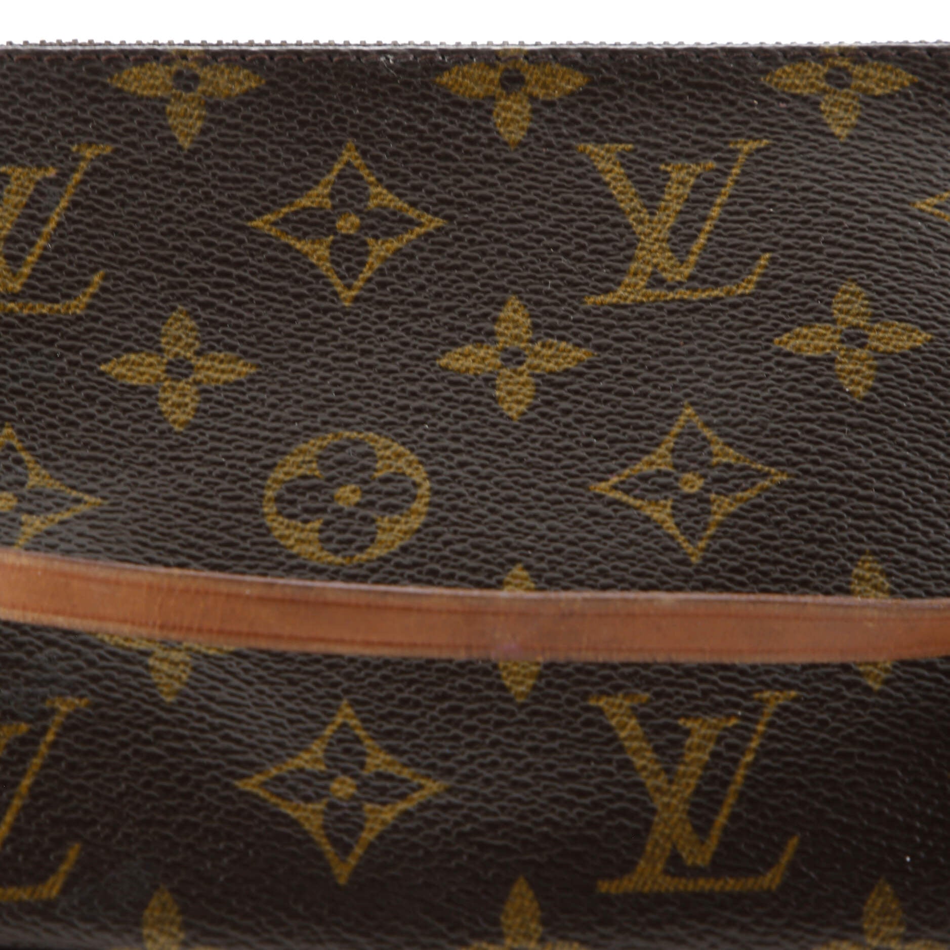 Louis Vuitton Pochette Accessoires Monogram Canvas