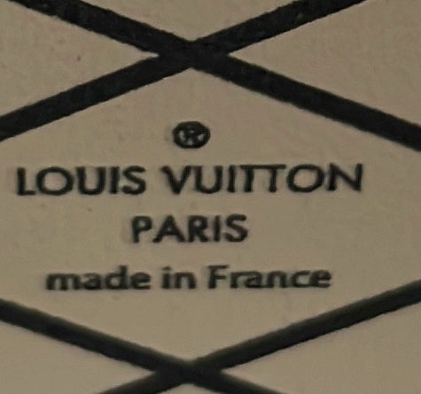 Louis Vuitton Petite Malle Handbag Epi Leather