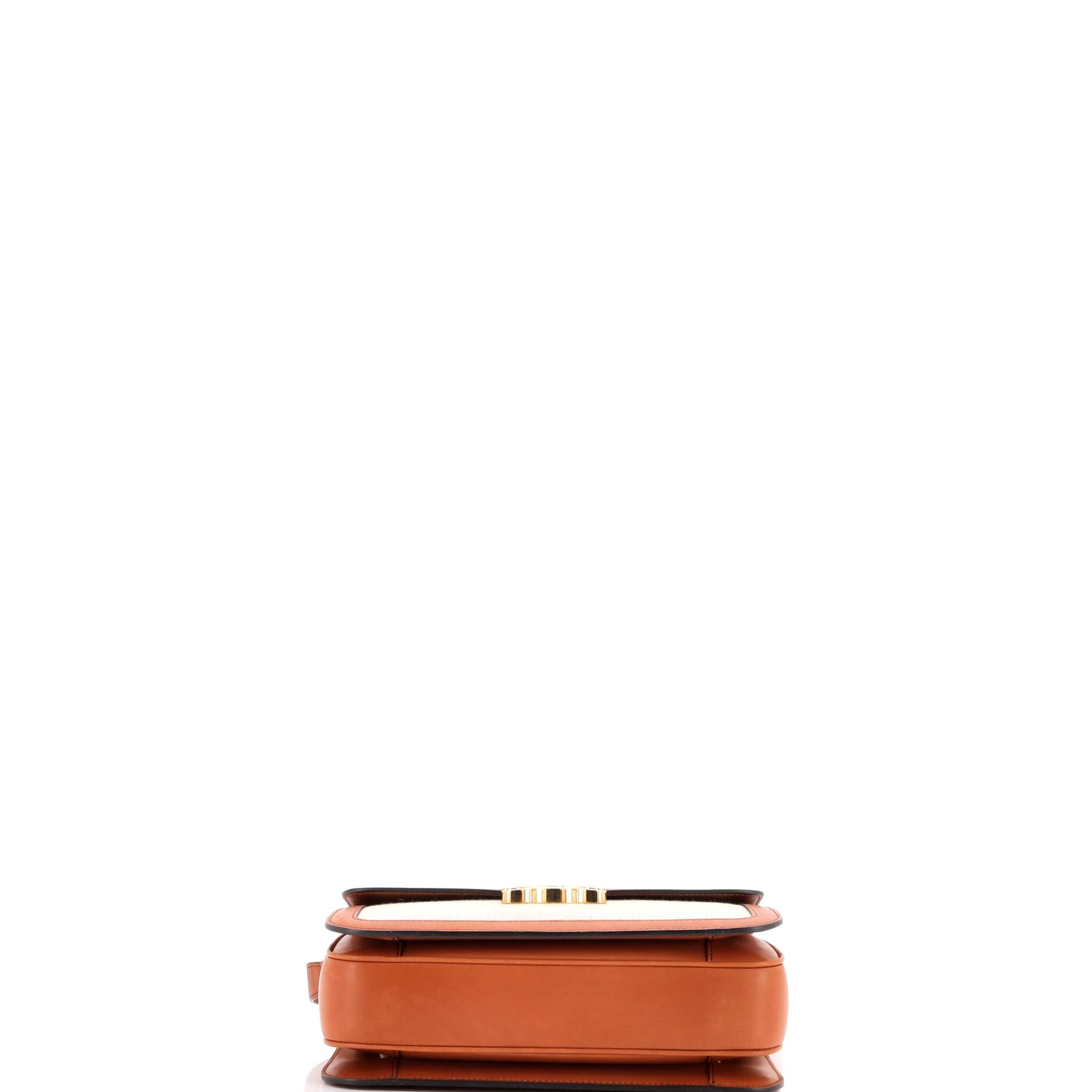 Celine Triomphe Shoulder Bag Canvas with Leather Medium