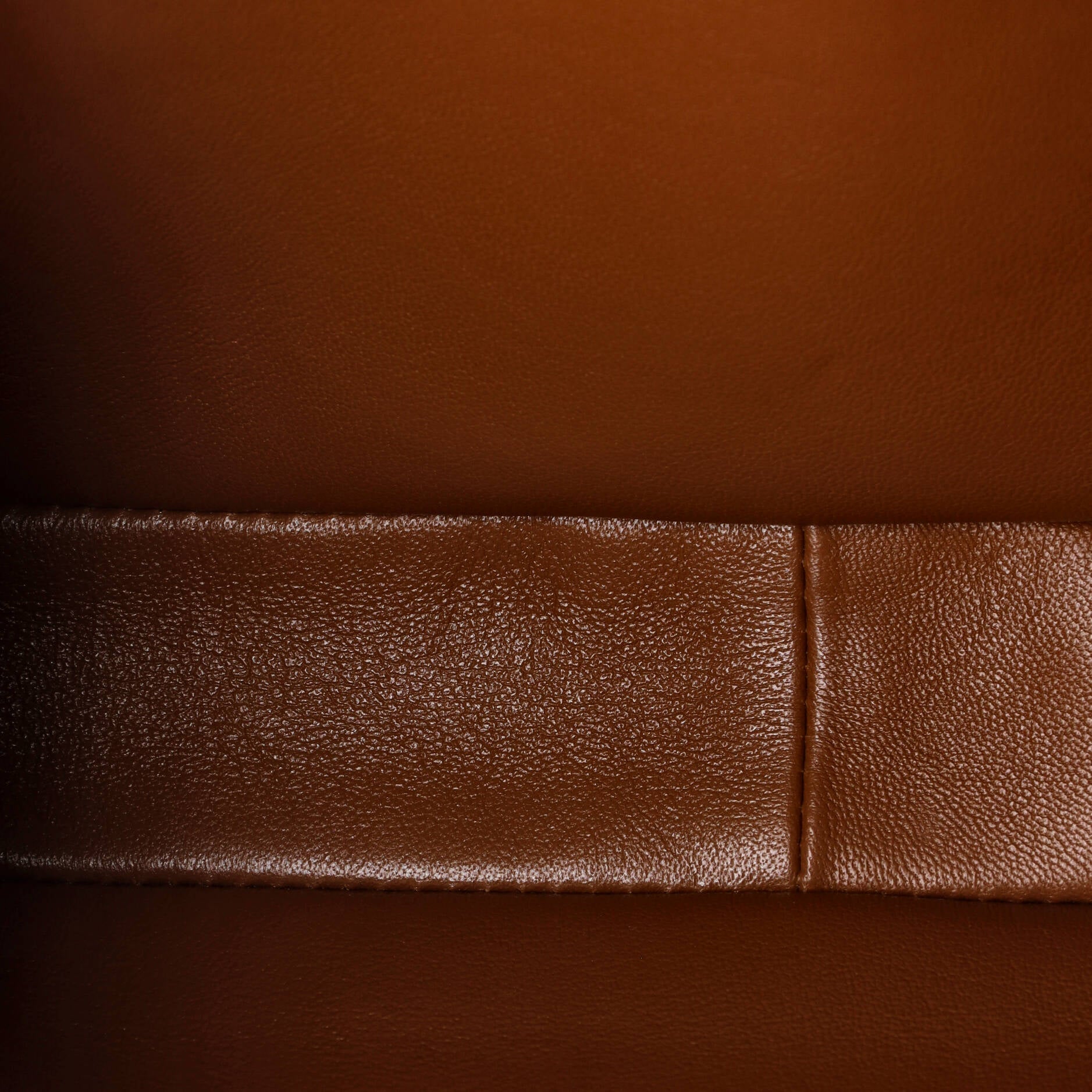 Celine Triomphe Shoulder Bag Canvas with Leather Medium