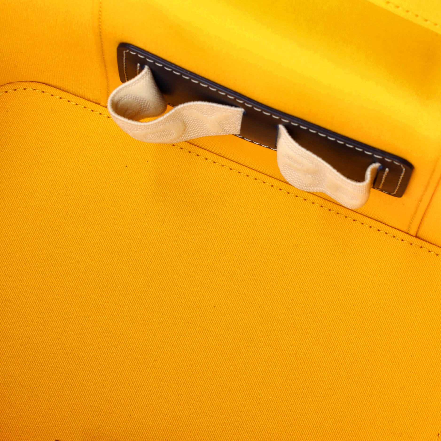 Goyard Muse Vanity Case Coated Canvas