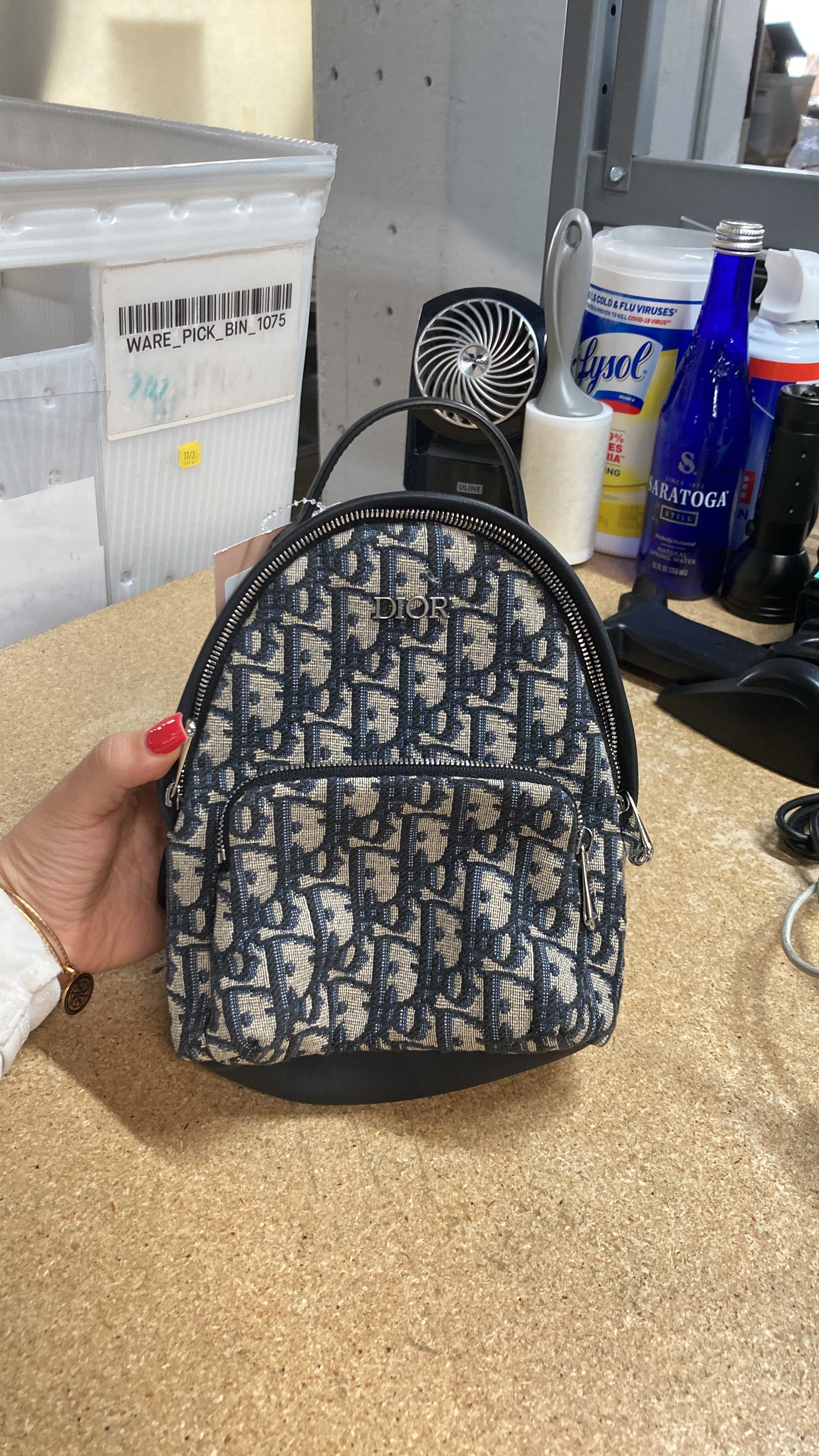 Christian Dior Rider Backpack Oblique Canvas Mini