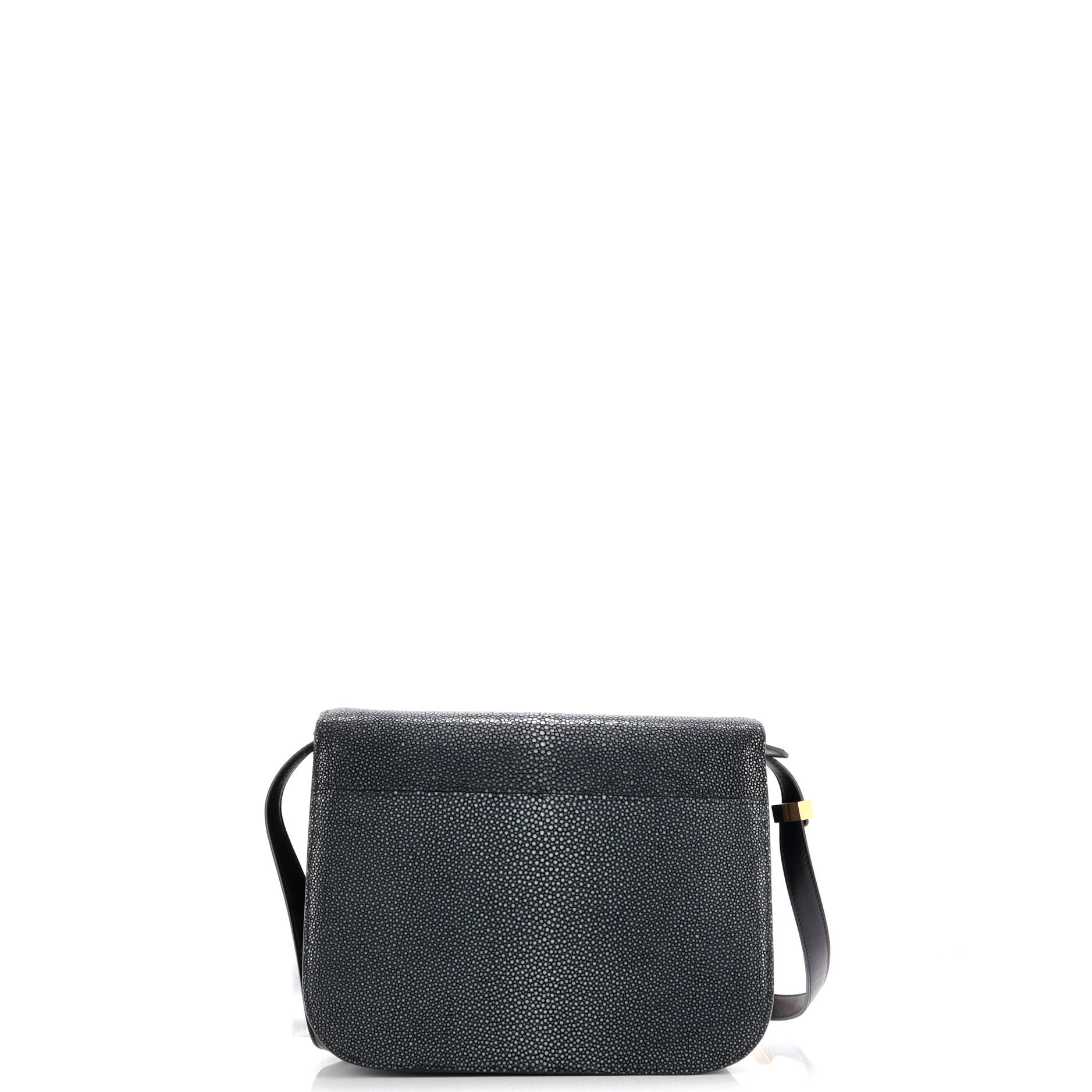 Celine Classic Box Bag Stingray Medium