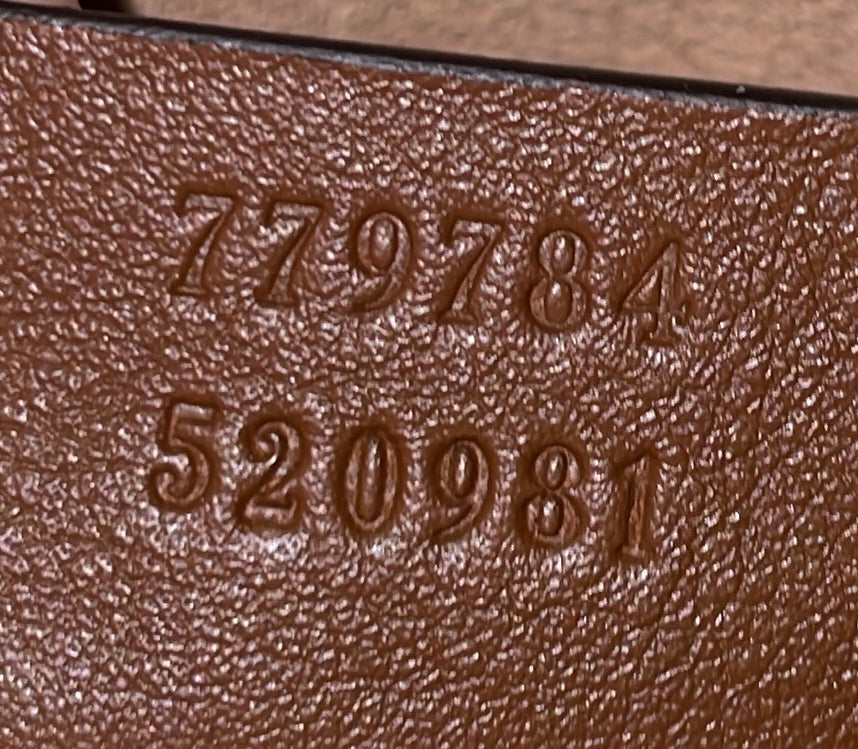Gucci Chain Crossbody Bag GG Coated Canvas and Leather Mini