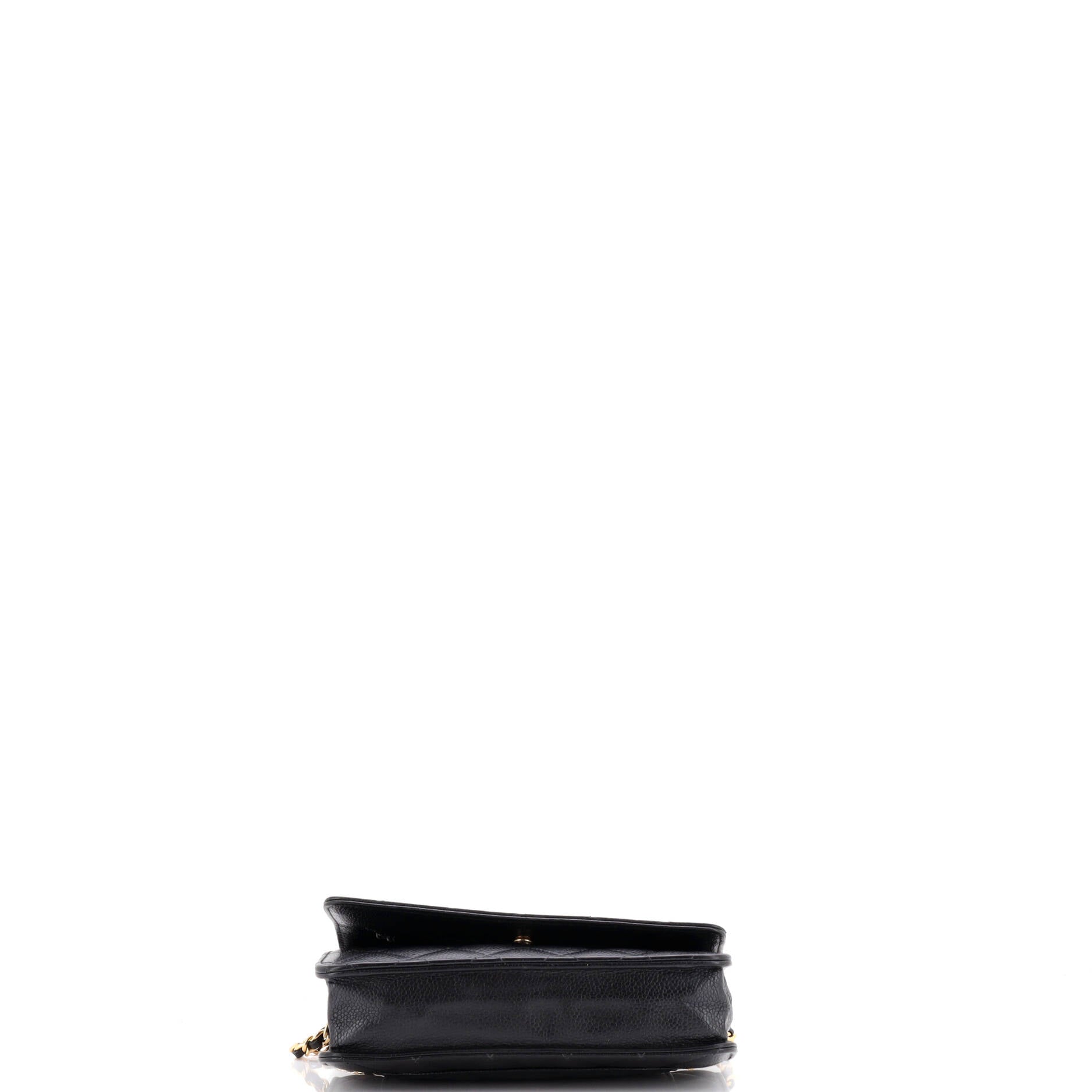 Chanel Wallet on Chain Quilted Caviar