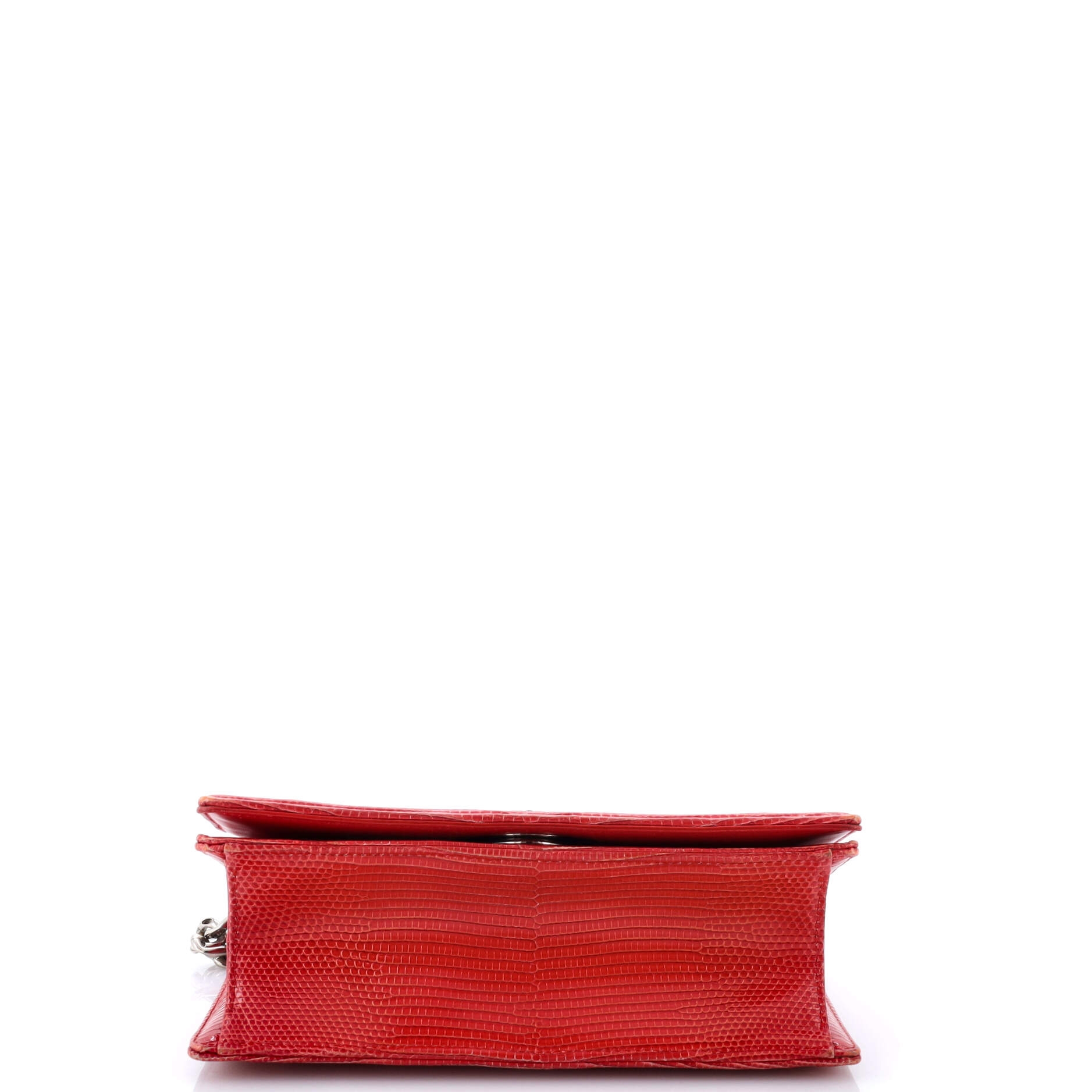 Christian Dior Diorama Flap Bag Lizard Small