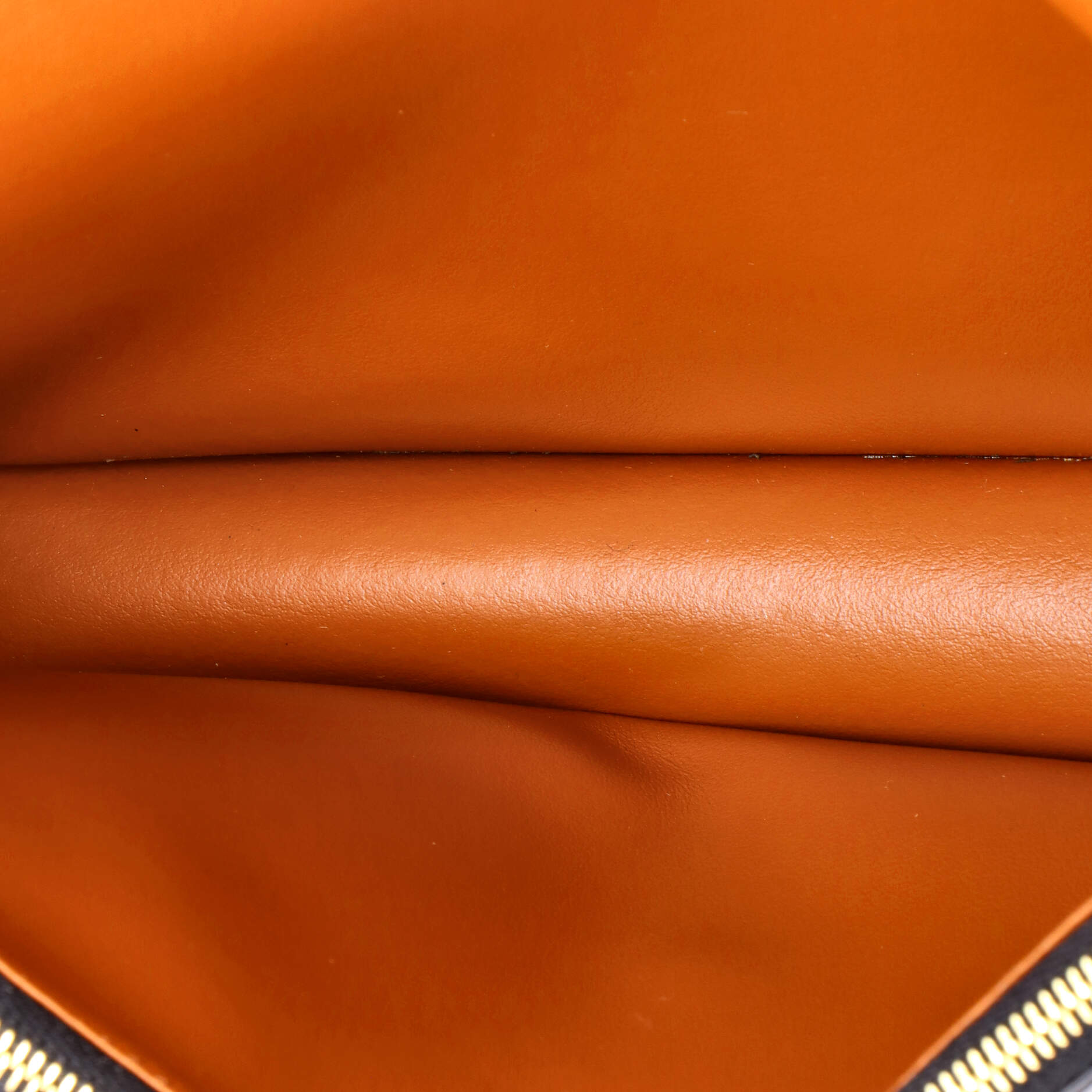 Celine Wallet on Strap Triomphe Coated Canvas