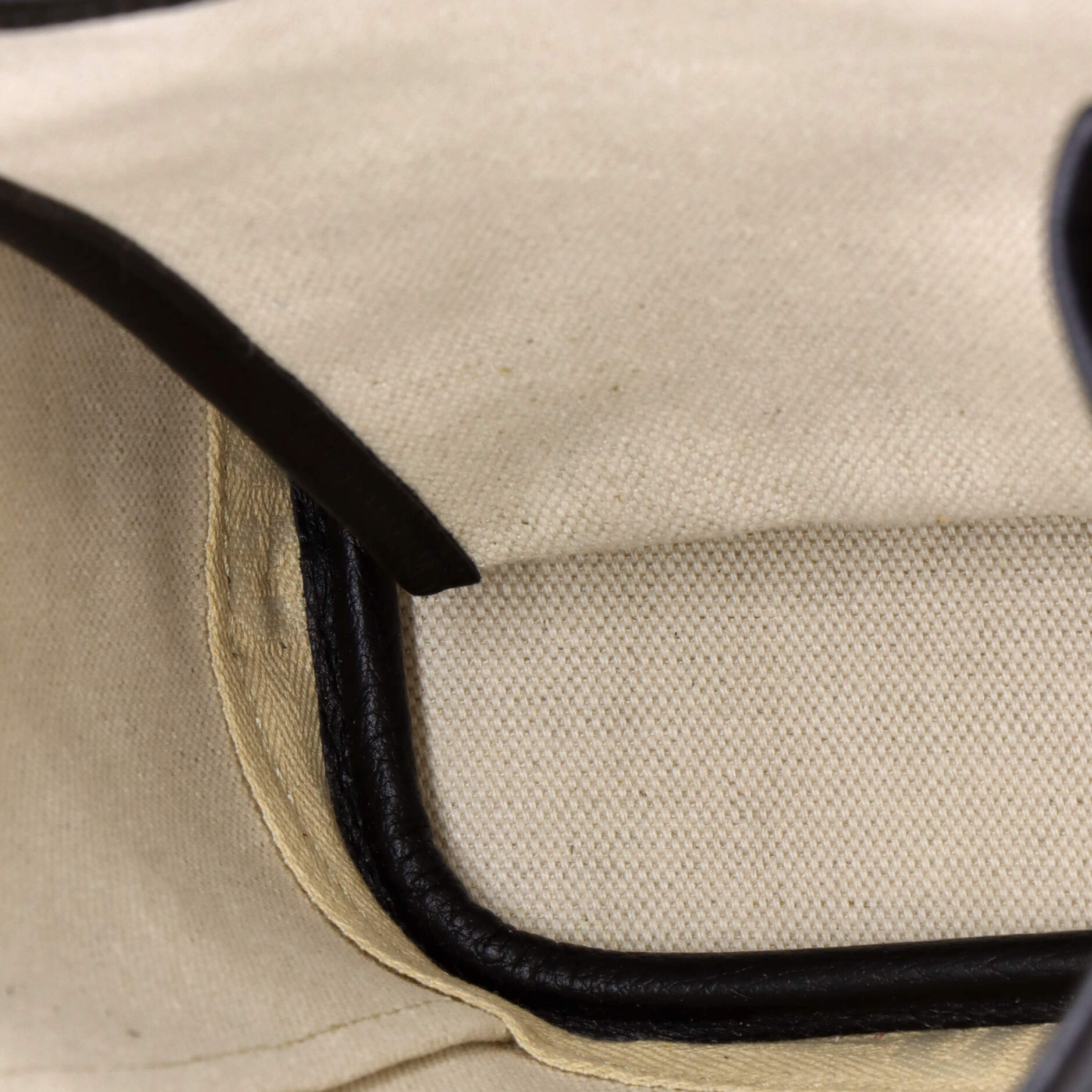 Goyard Alpin Backpack Coated Canvas Mini