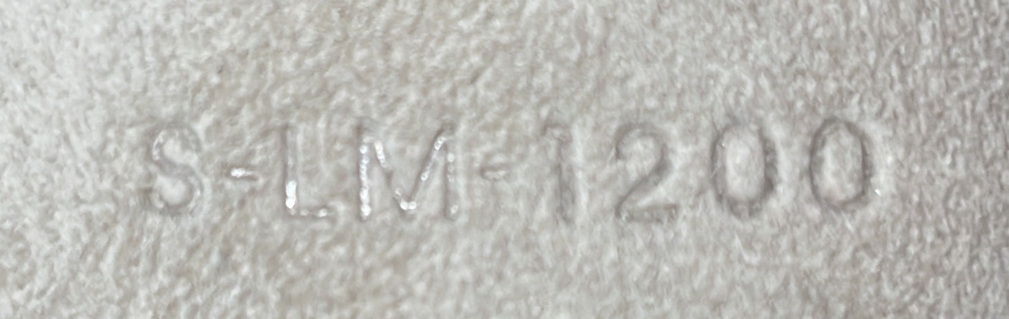 Celine Belt Bag Textured Leather Micro