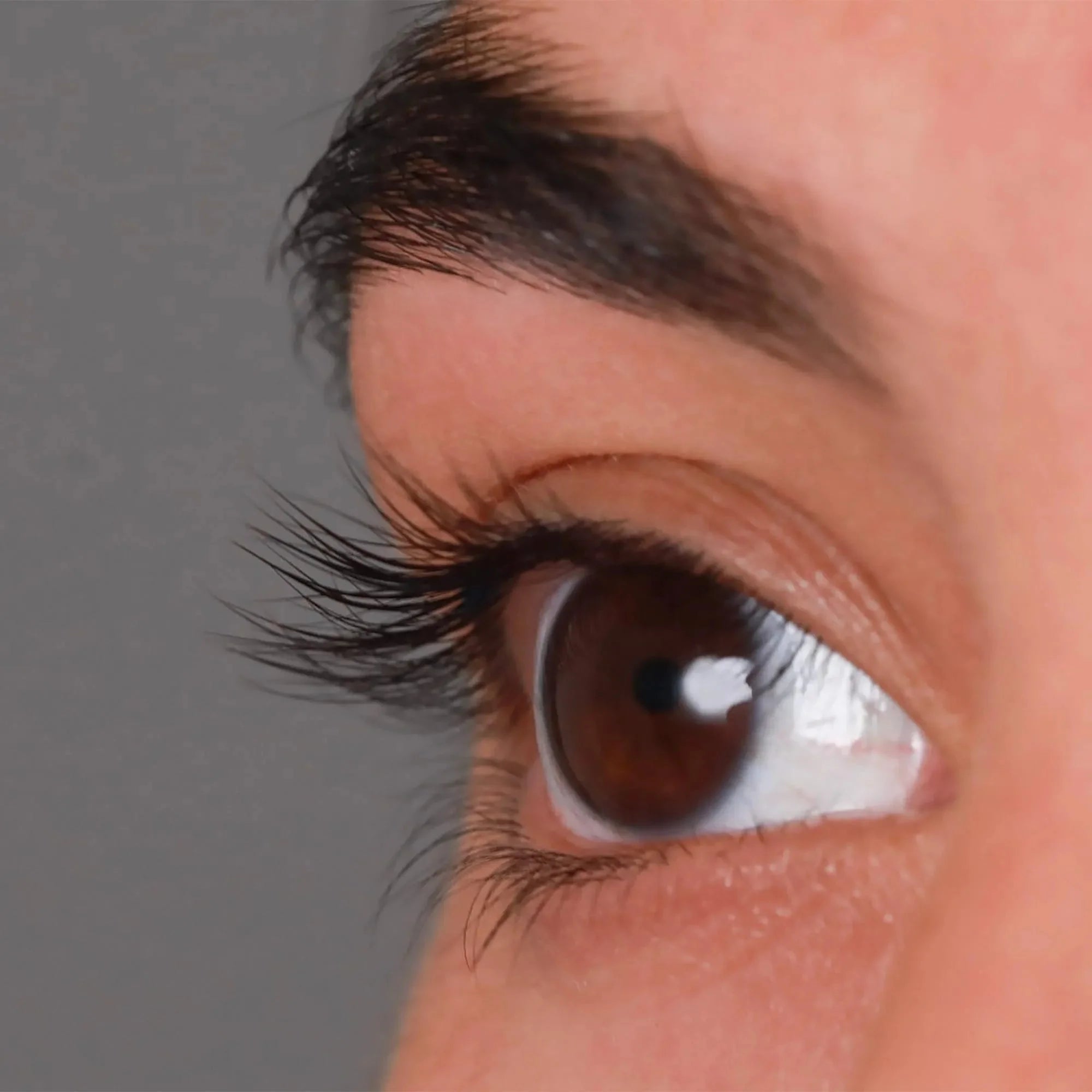 deluxe lash curl kit