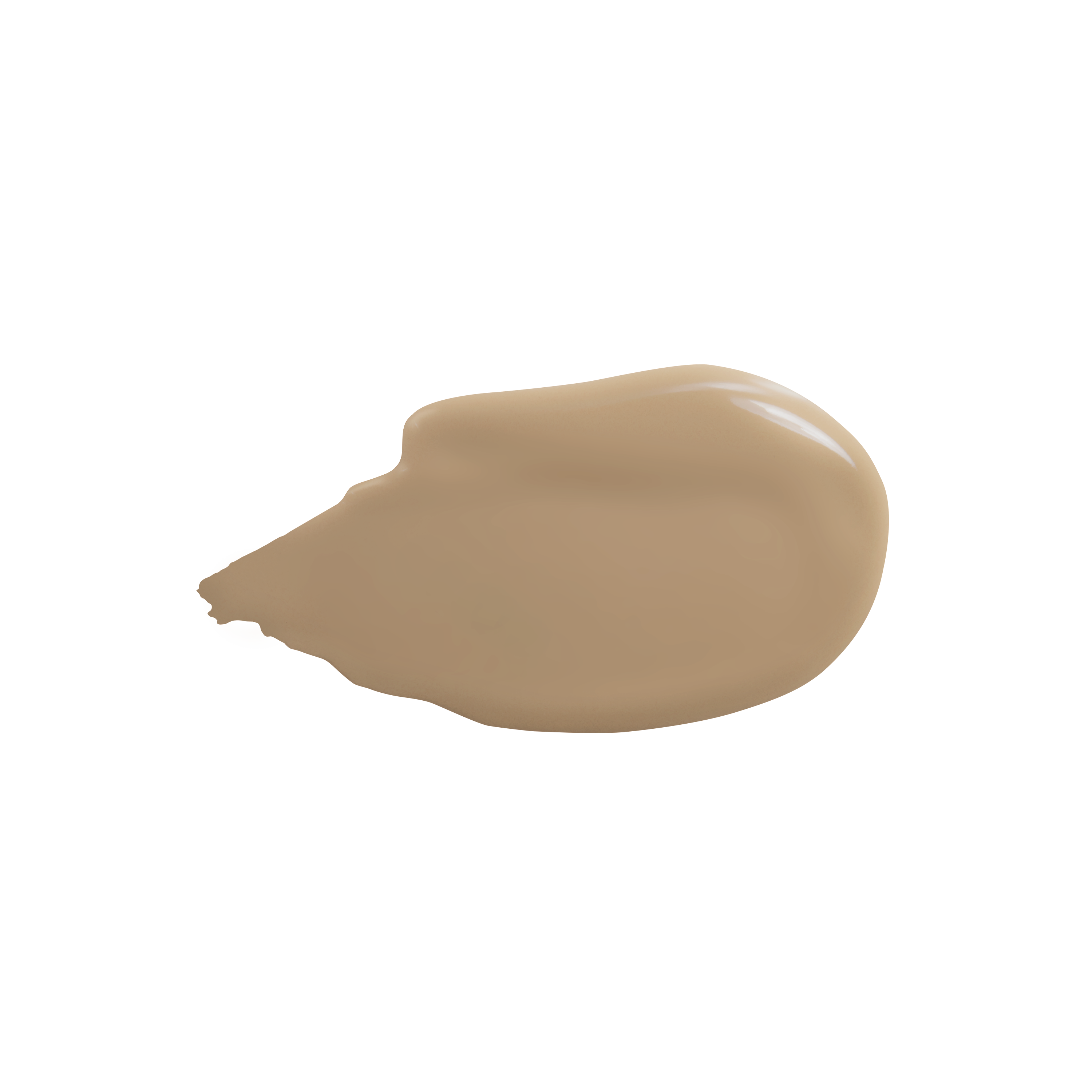 Absolute Cover Foundation - #5