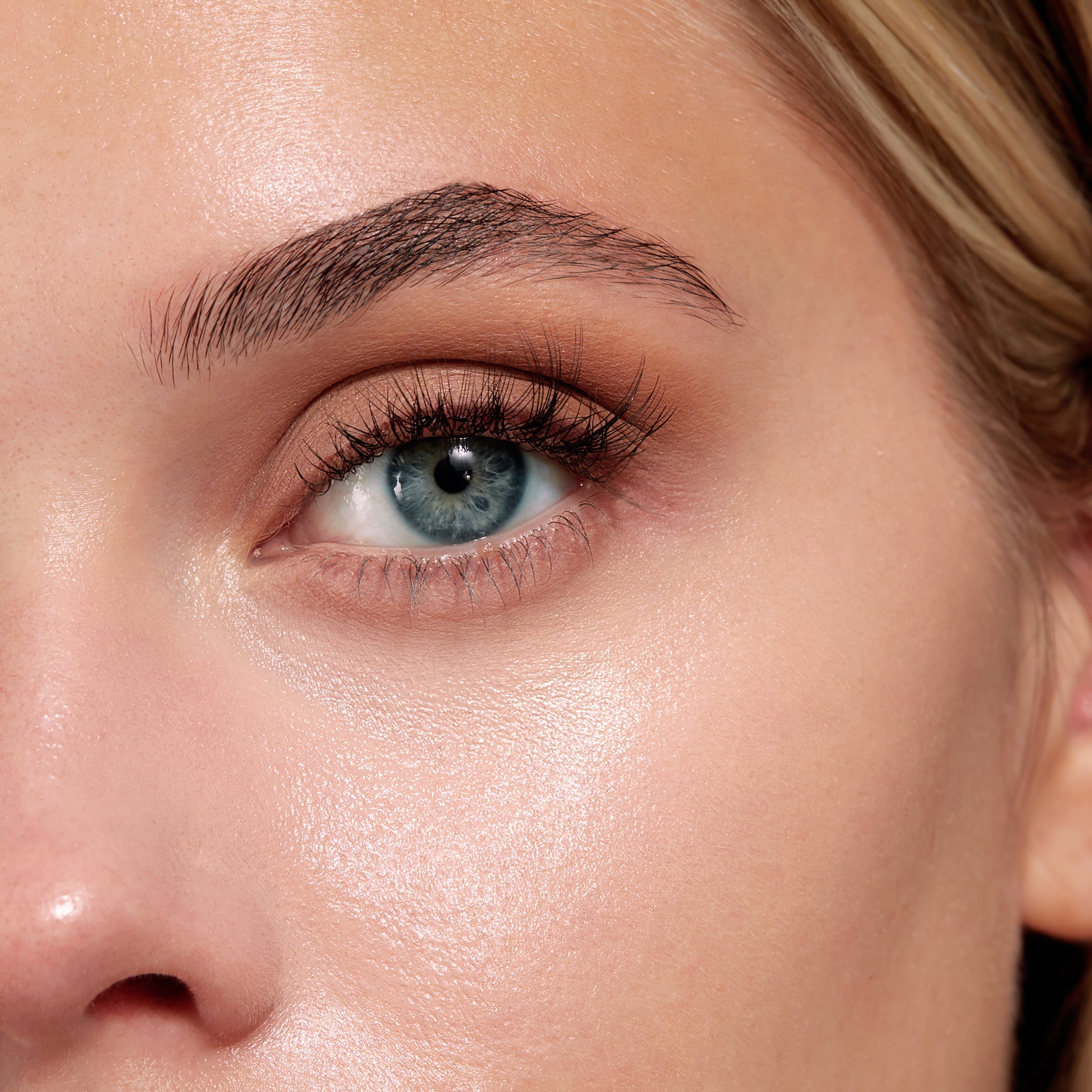 F26 Domed Concealer Brush