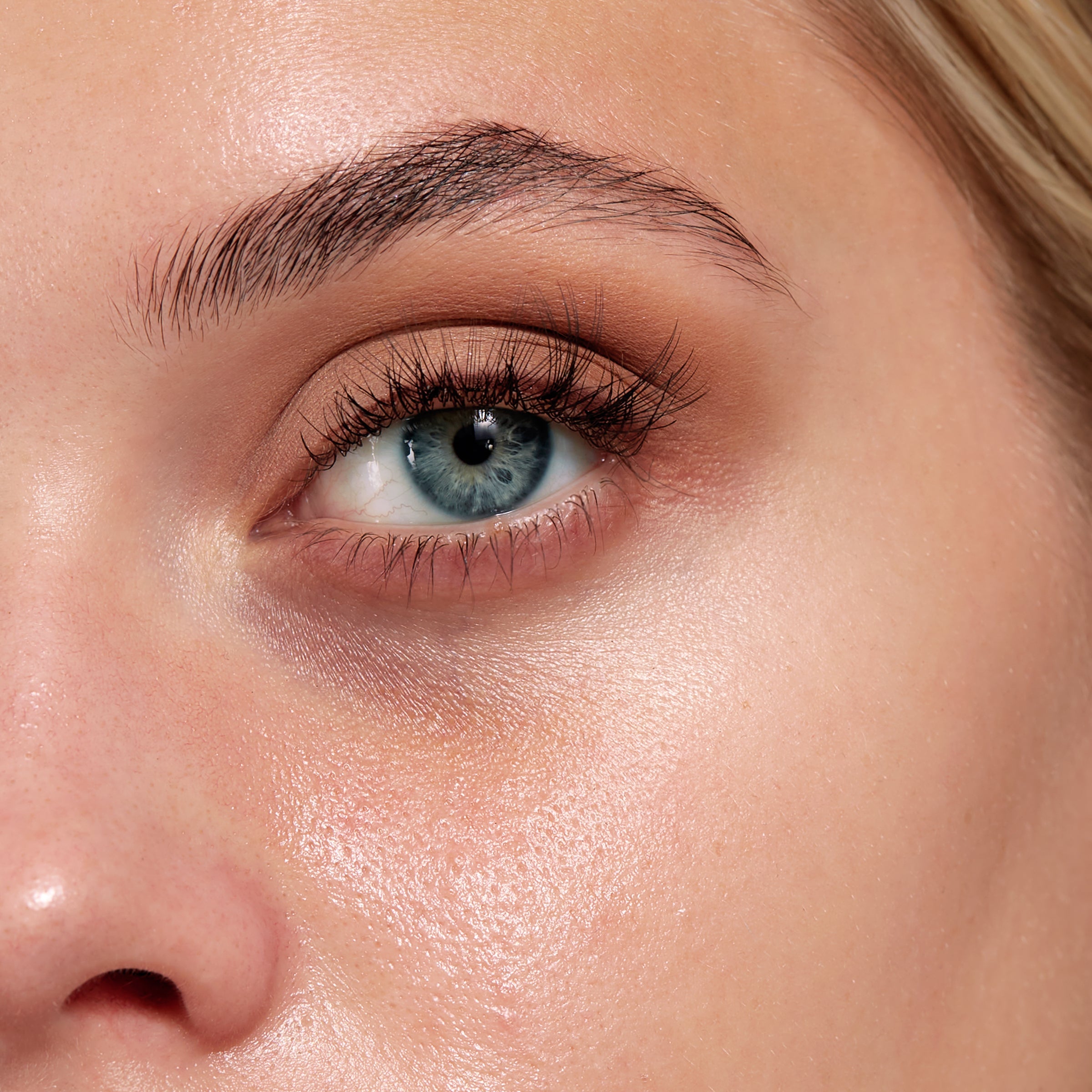 F26 Domed Concealer Brush