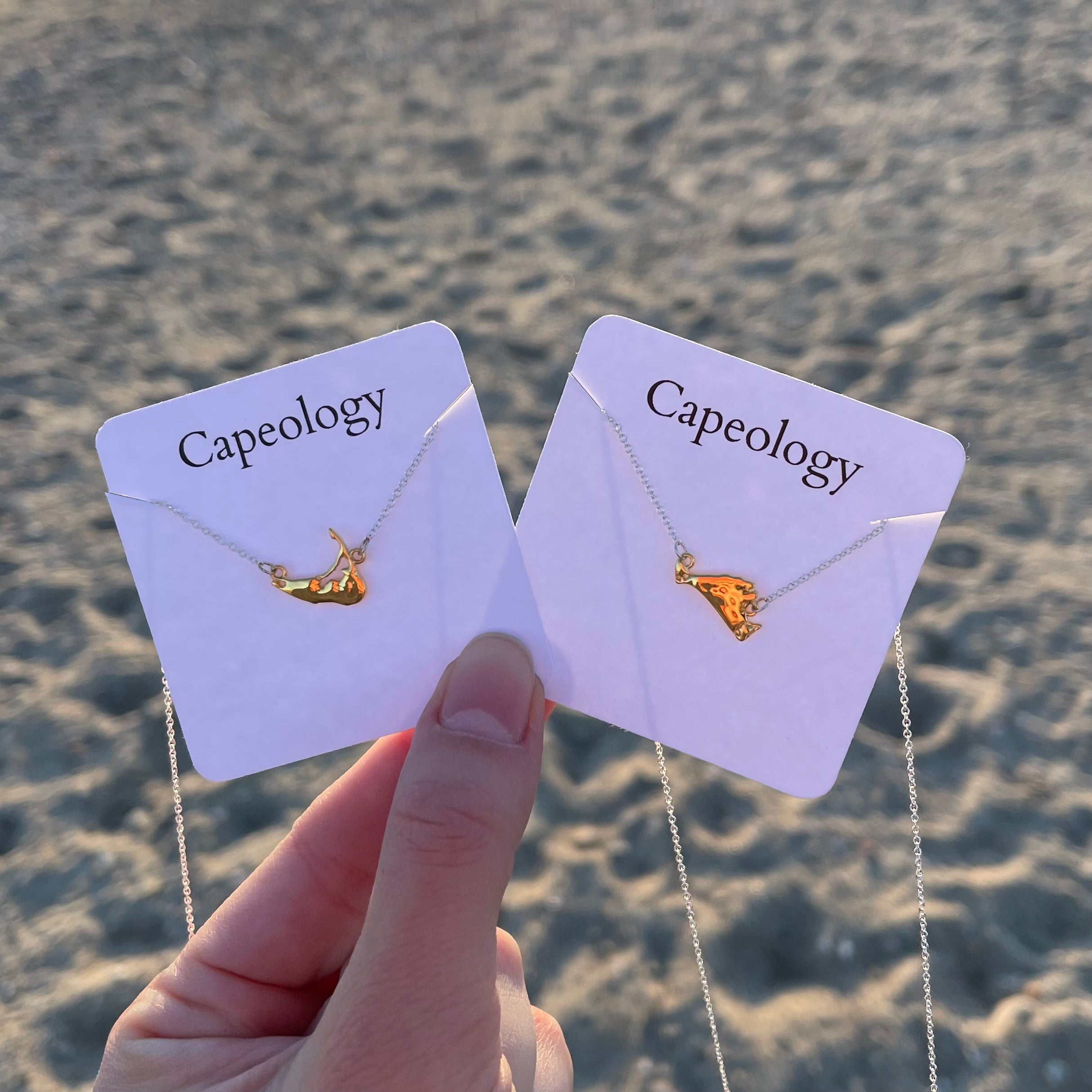 Two-Toned Nantucket Necklace