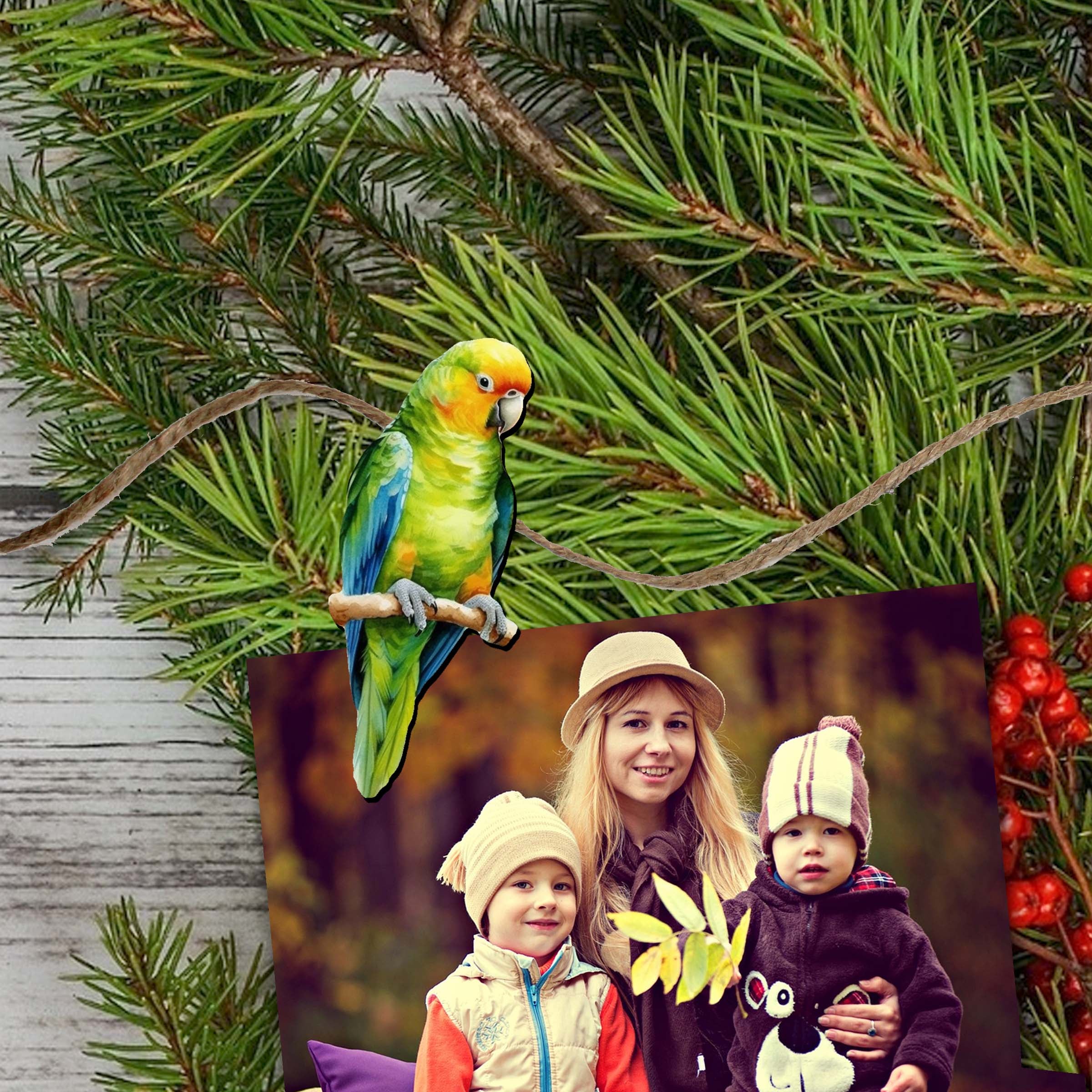 Parrots Decorative Wooden Clip-on Ornaments of 6 by G. Debrekht - Christmas Decor - 8090013C-S6