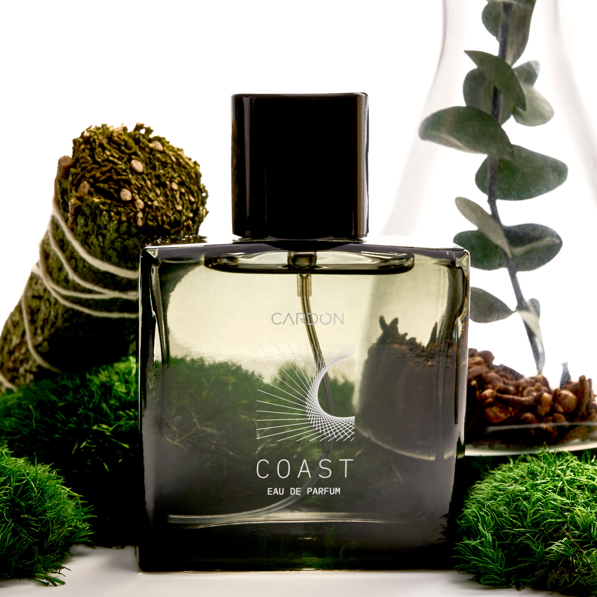 Coast Functional Fragrance
