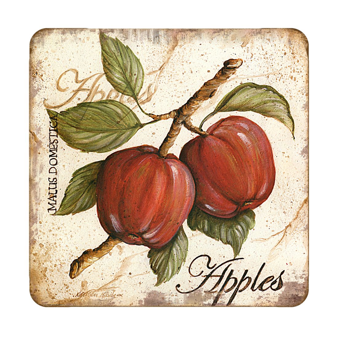 Apples Wooden Cork Coasters Gift Set of 4 by Nature Wonders Nature Wildlife Decor - 8198633C-S4