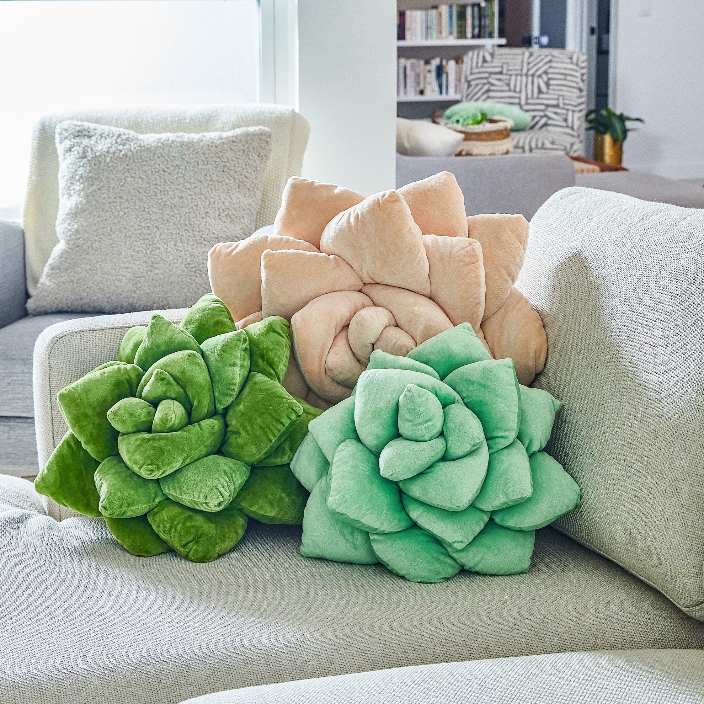 Lil' Pop Succulent® - Sage Green